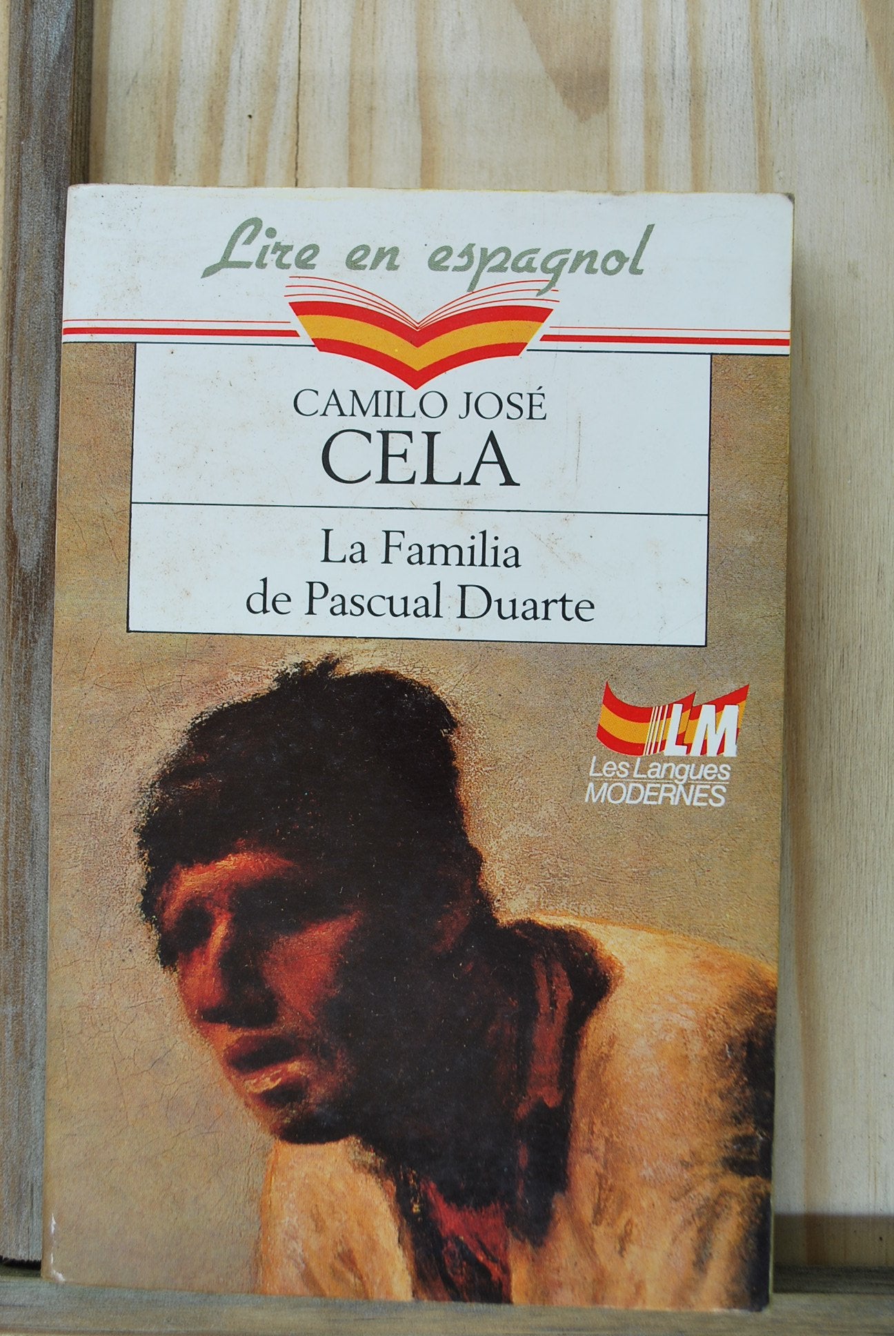 La familia de Pascual Duarte 9782253057086
