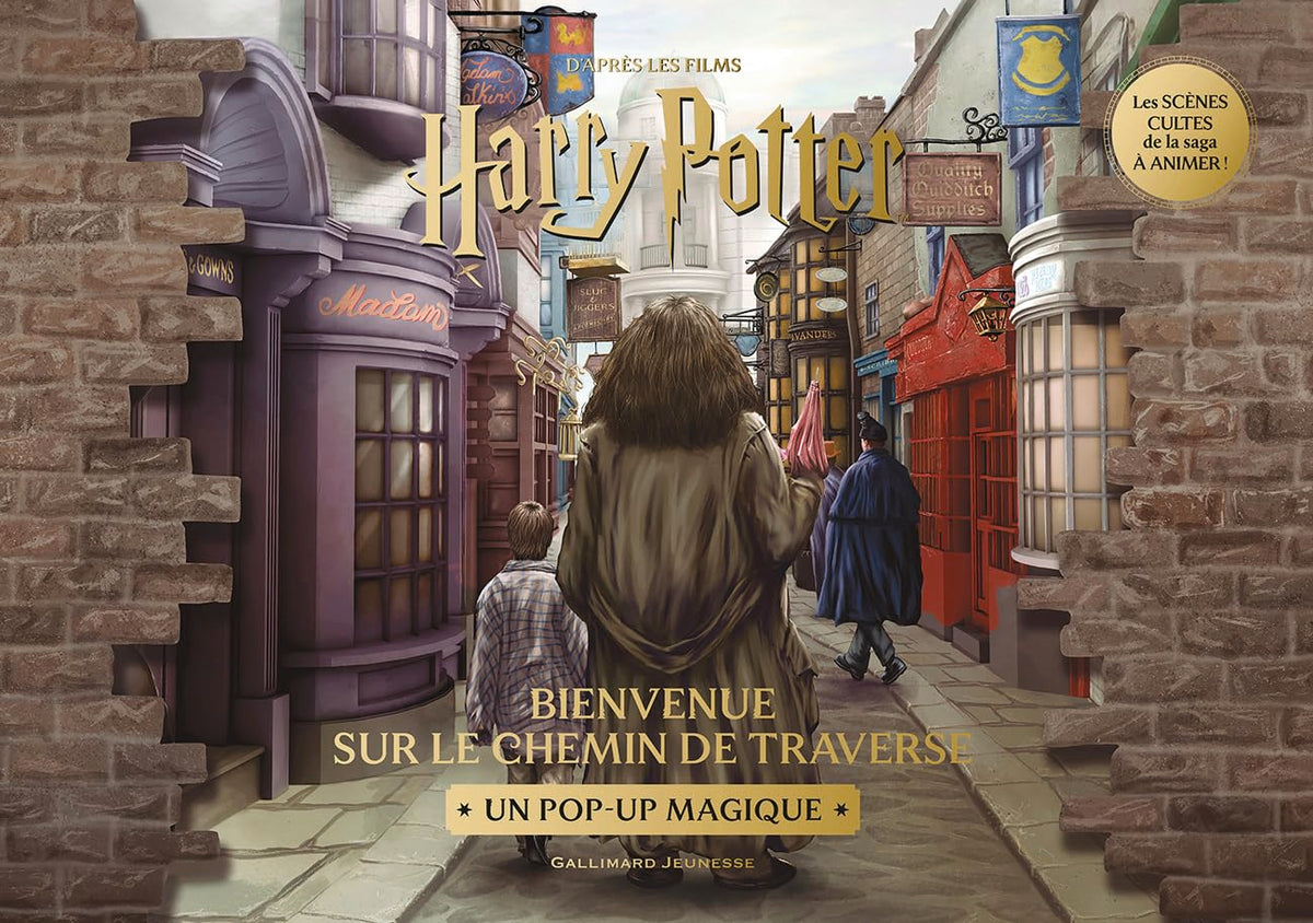 Harry Potter - Bienvenue sur le Chemin de Traverse: Un pop-up magique 9782075234740