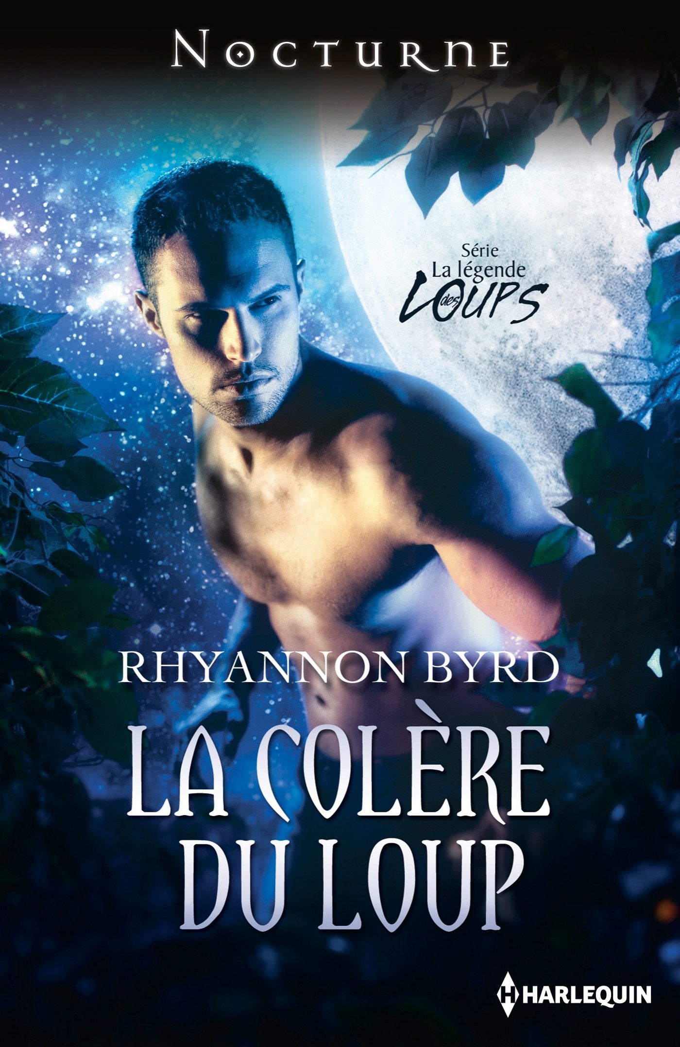 La colère du loup 9782280278119