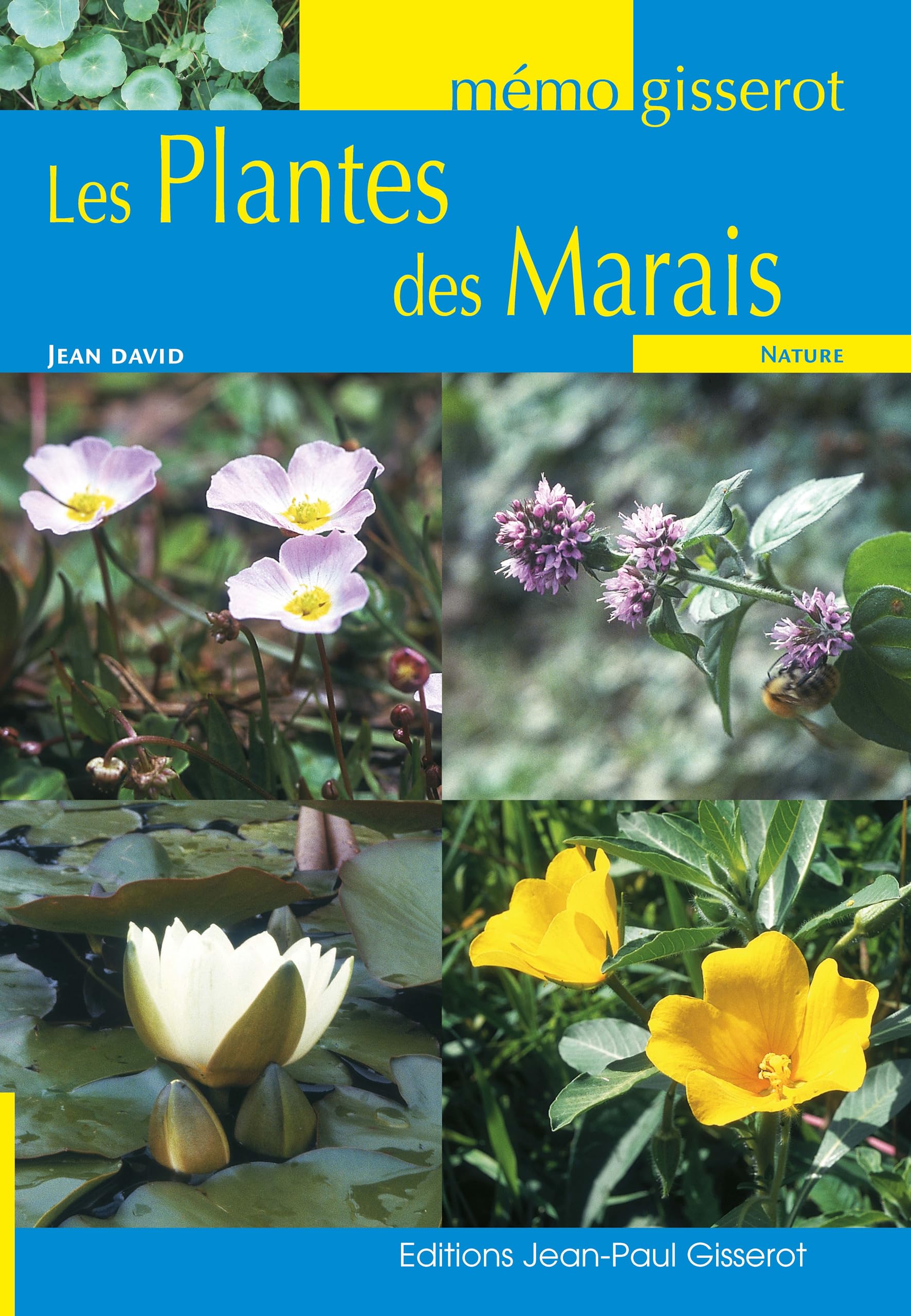 MEMO - Les plantes des marais 9782755801477