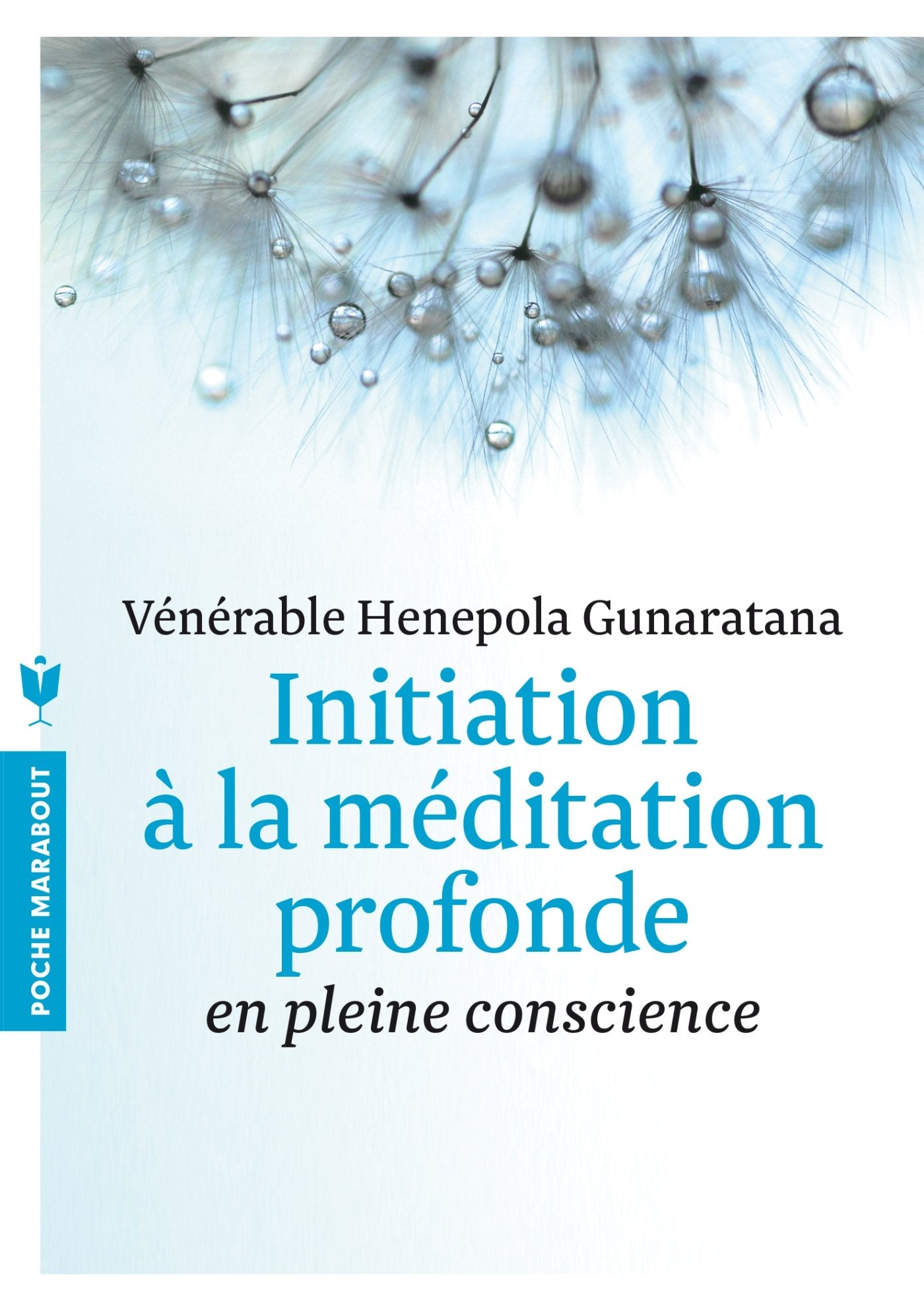 Initiation à la méditation profonde: en pleine conscience 9782501096041