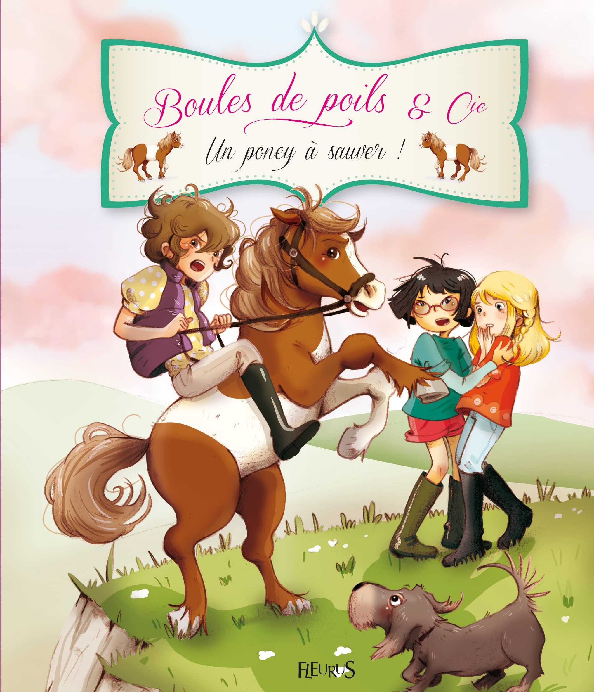 Un poney sauver ! 9782215117780