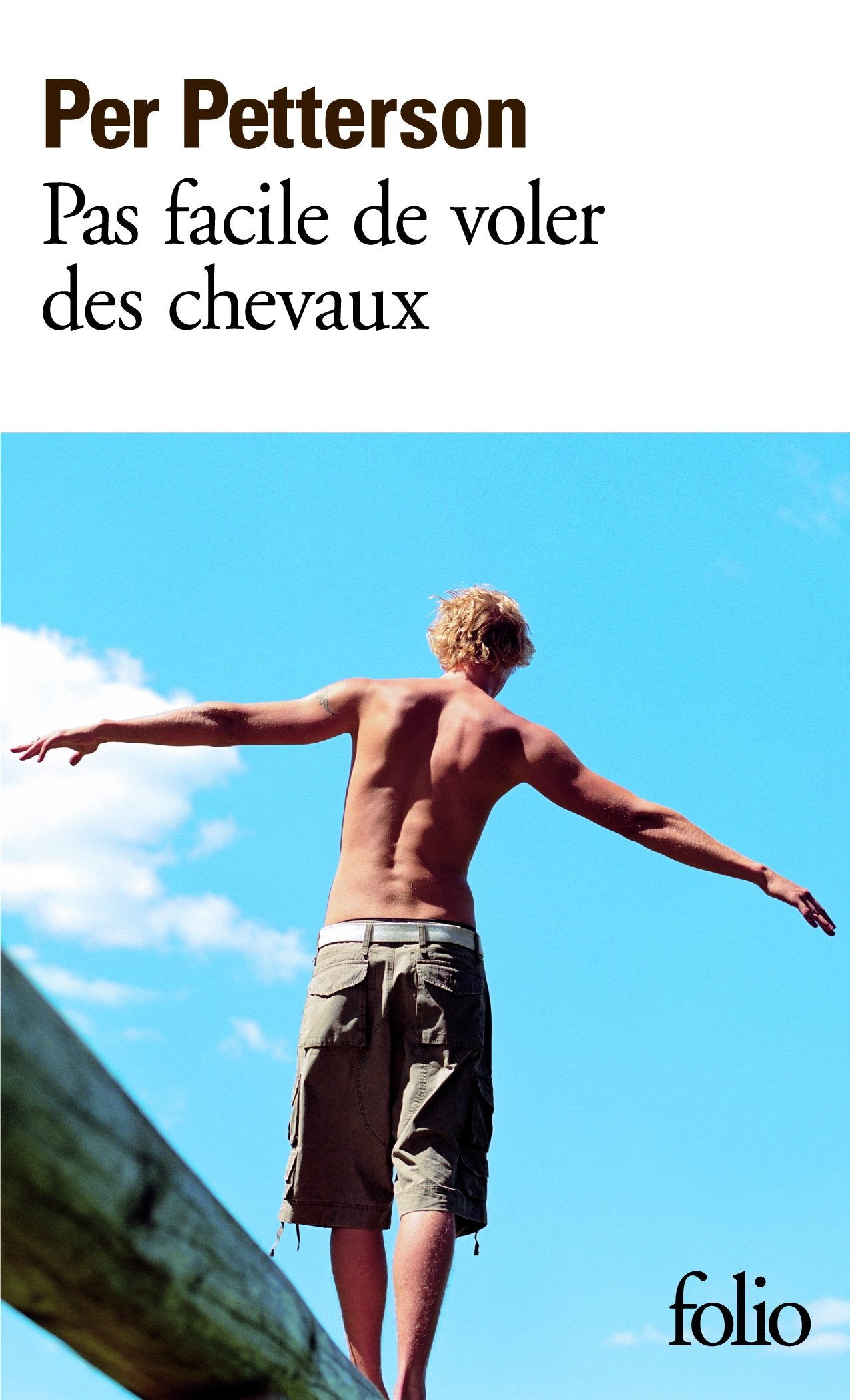 Pas facile de voler des chevaux 9782070358144