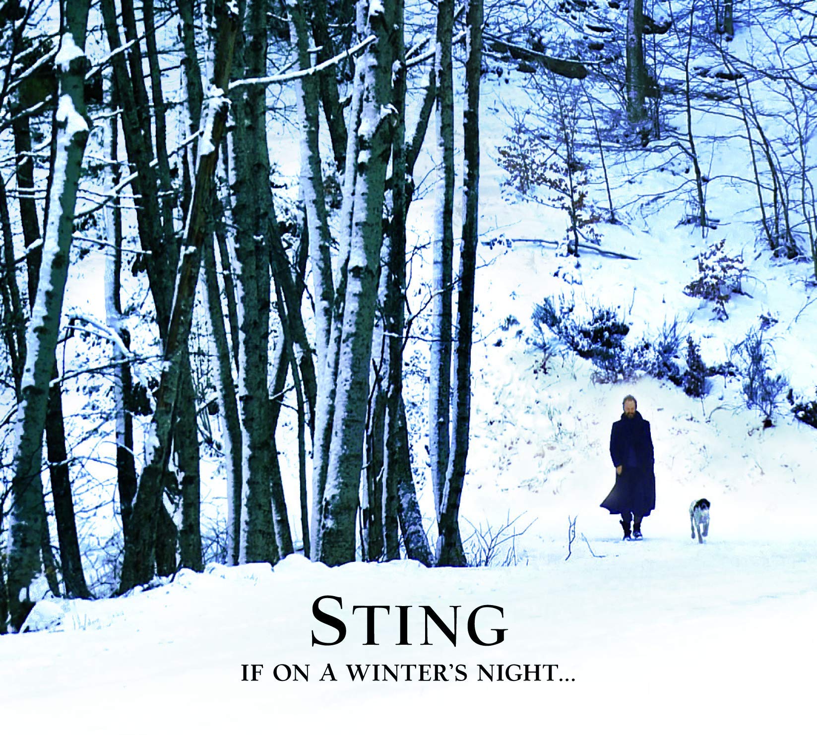 If On A Winter's Night...