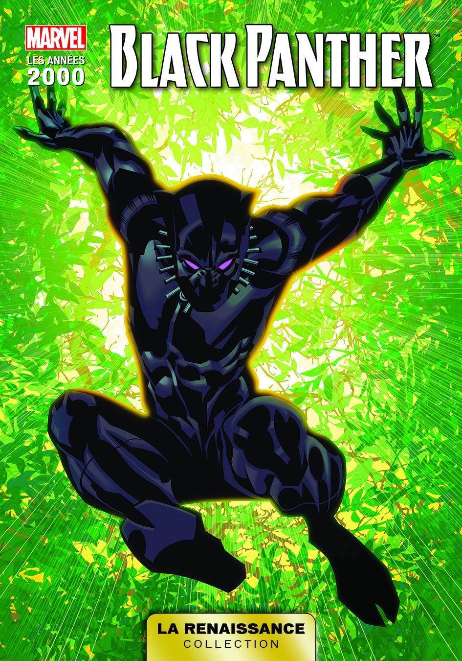 LA RENAISSANCE DES HEROS MARVEL T02 : BLACK-PANTHER 9782809481433