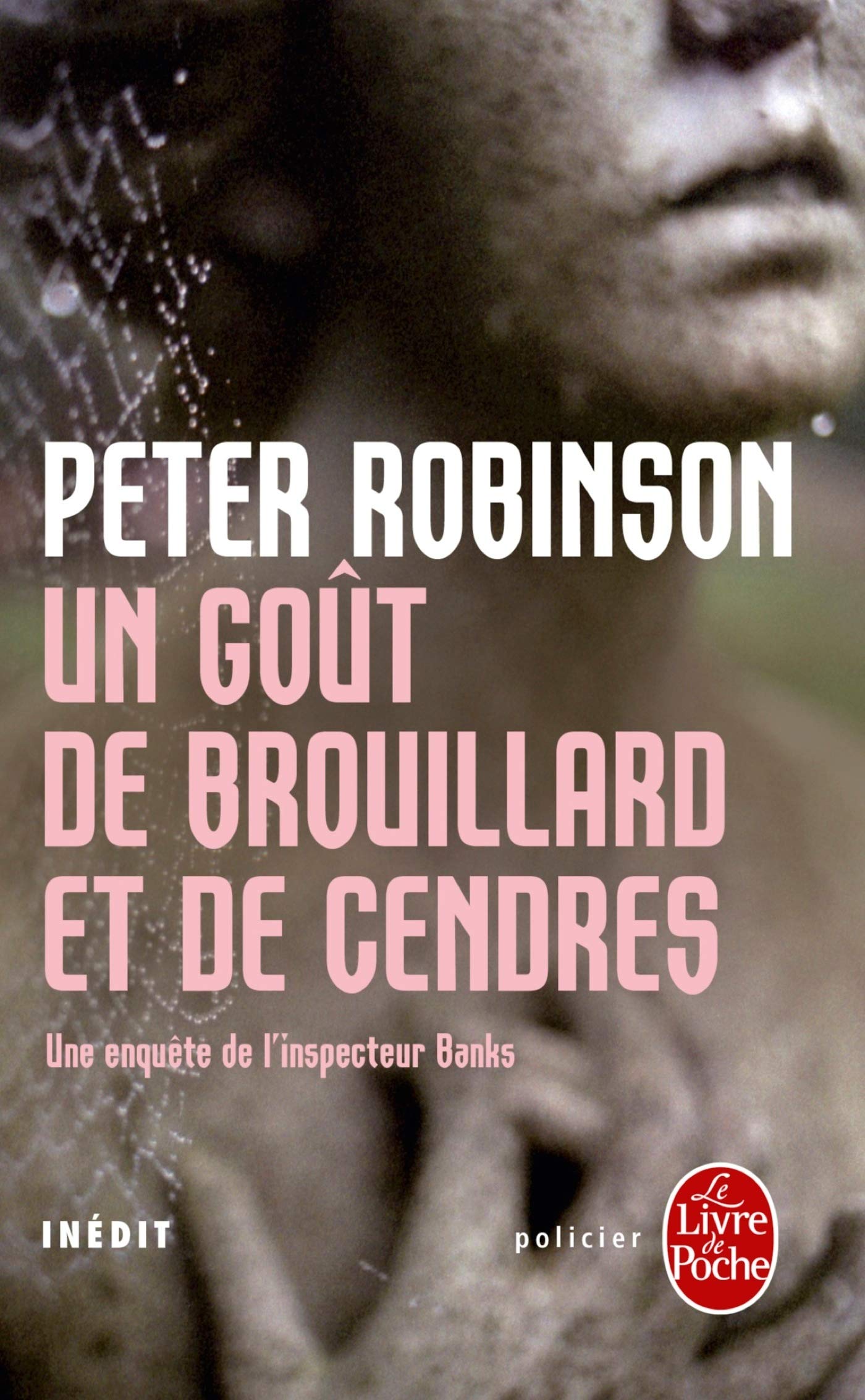 Un goût de brouillard et de cendres 9782253090243
