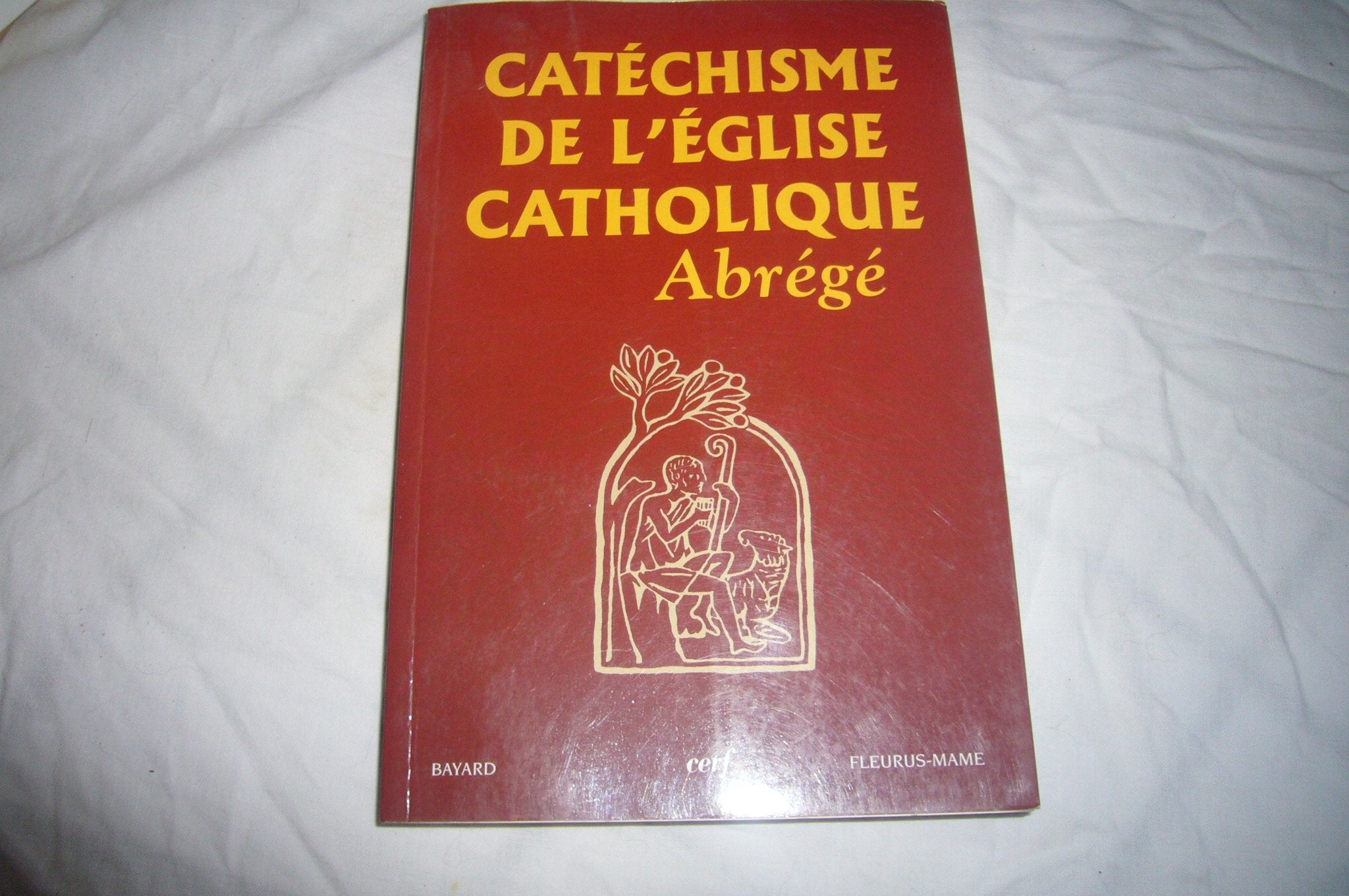 Catéchisme de l'Église Catholique abrégé 9782204078825