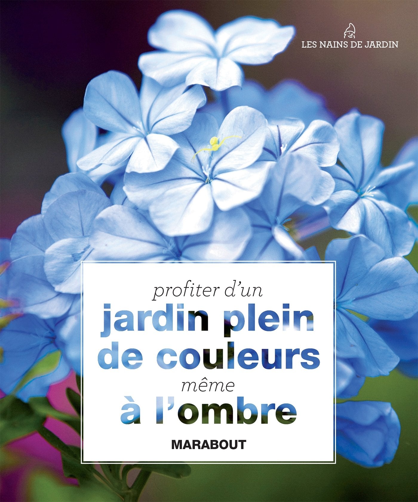 Profiter d'un jardin plein de couleurs même à l'ombre 9782501093538