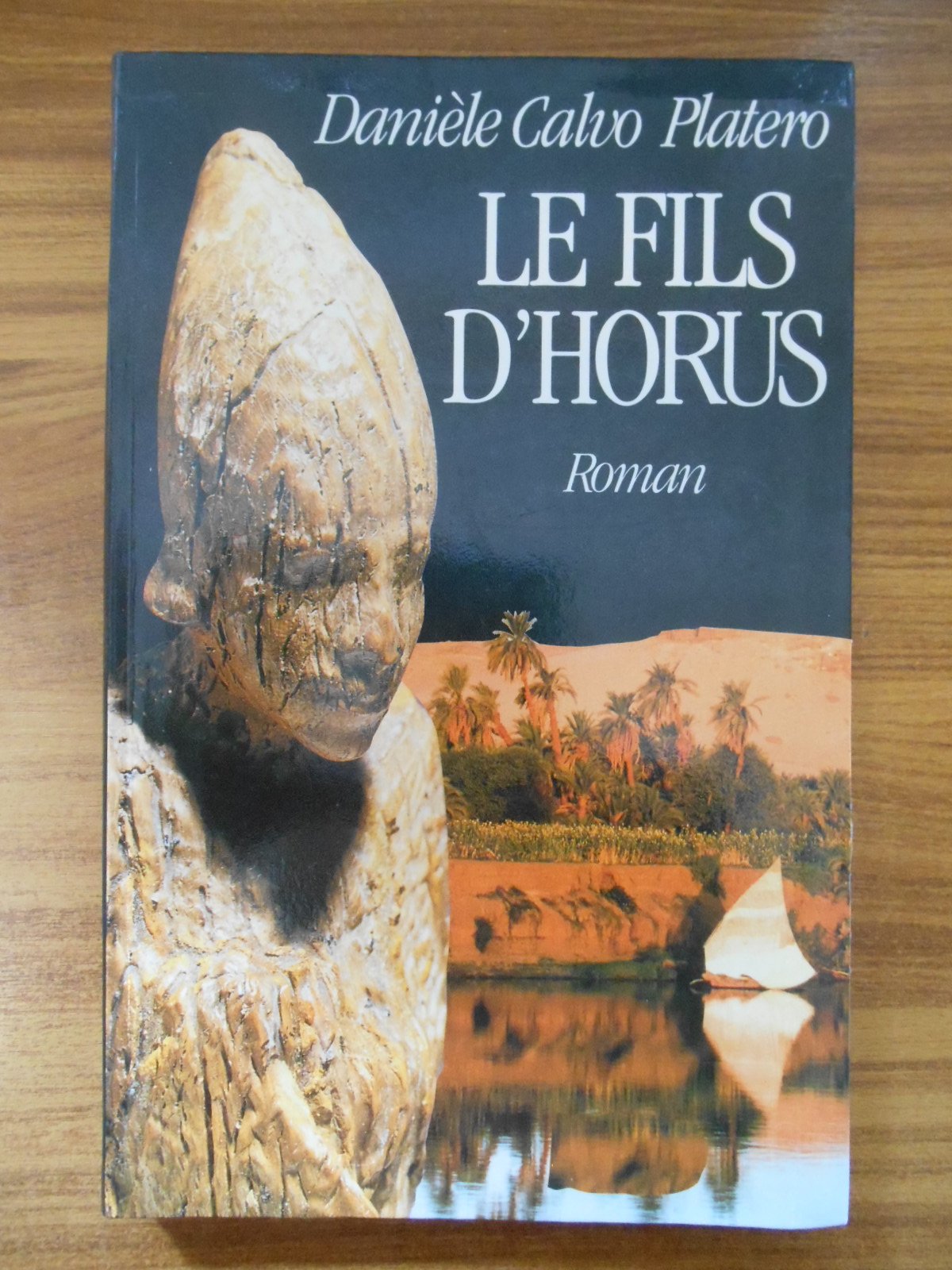 Le fils d'Horus 9782268021942