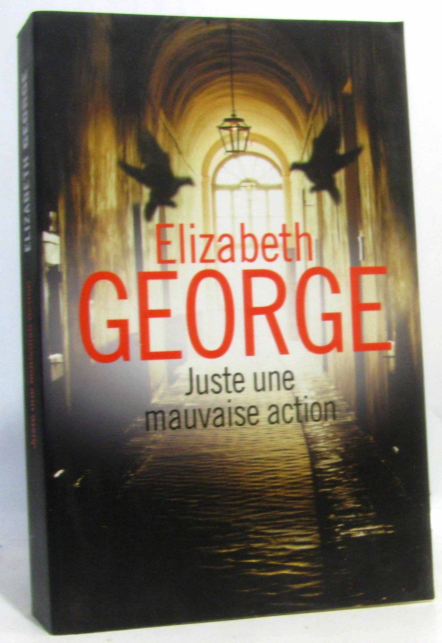 Juste une mauvaise action 9782298090710