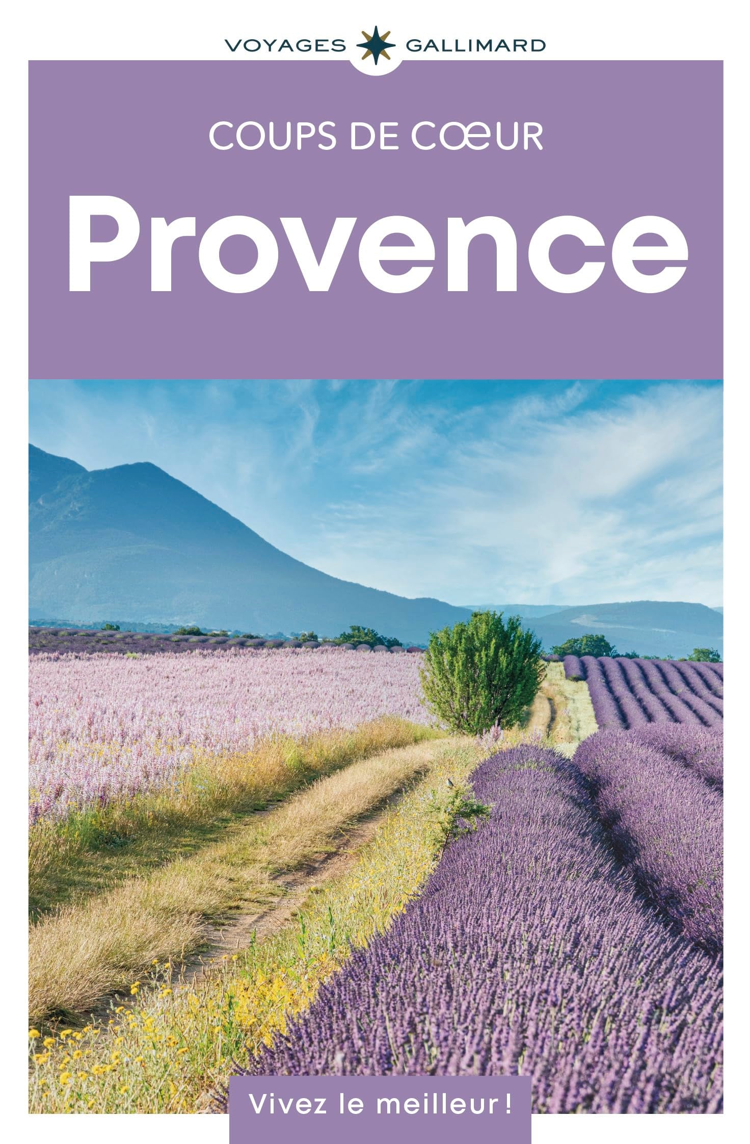 Provence: Guide Coups de coeur 9782742468133