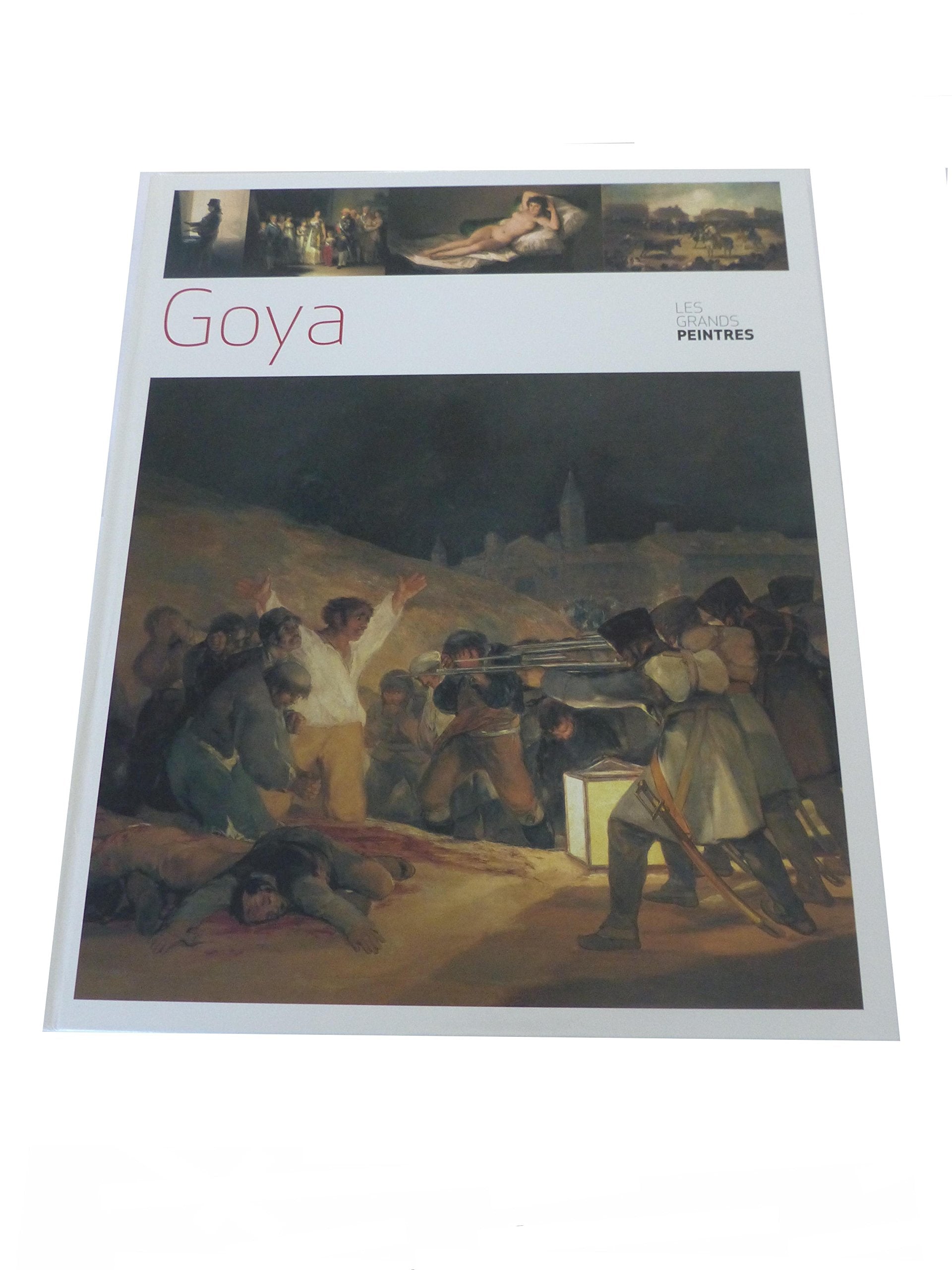 goya les grands peintres 9788498205756