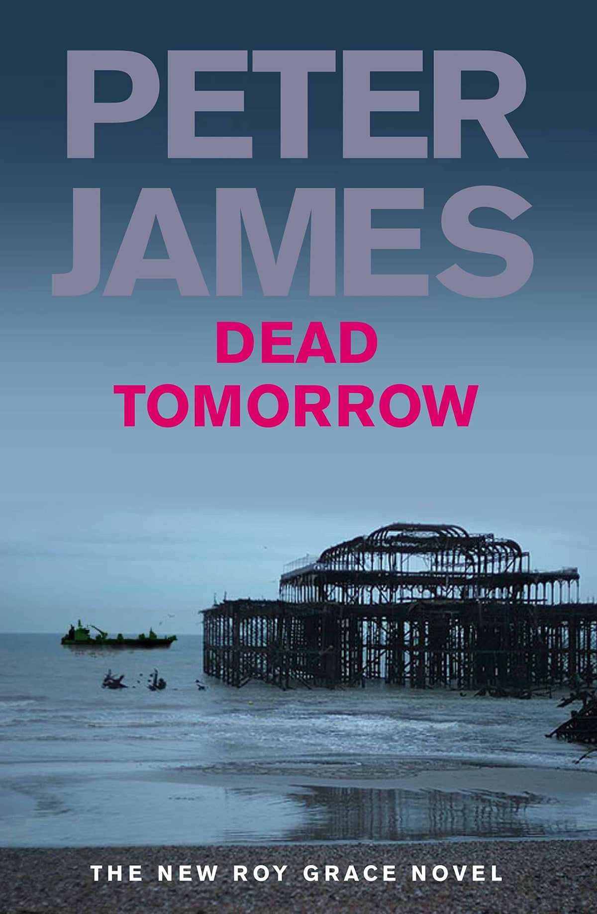 Dead Tomorrow 9780330545990