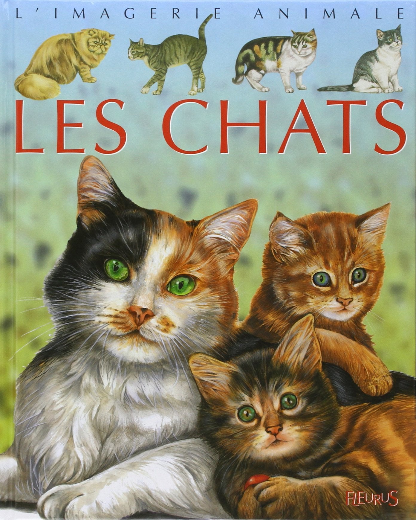 L'Imagerie animale, tome 12 : Les Chats 9782215081845