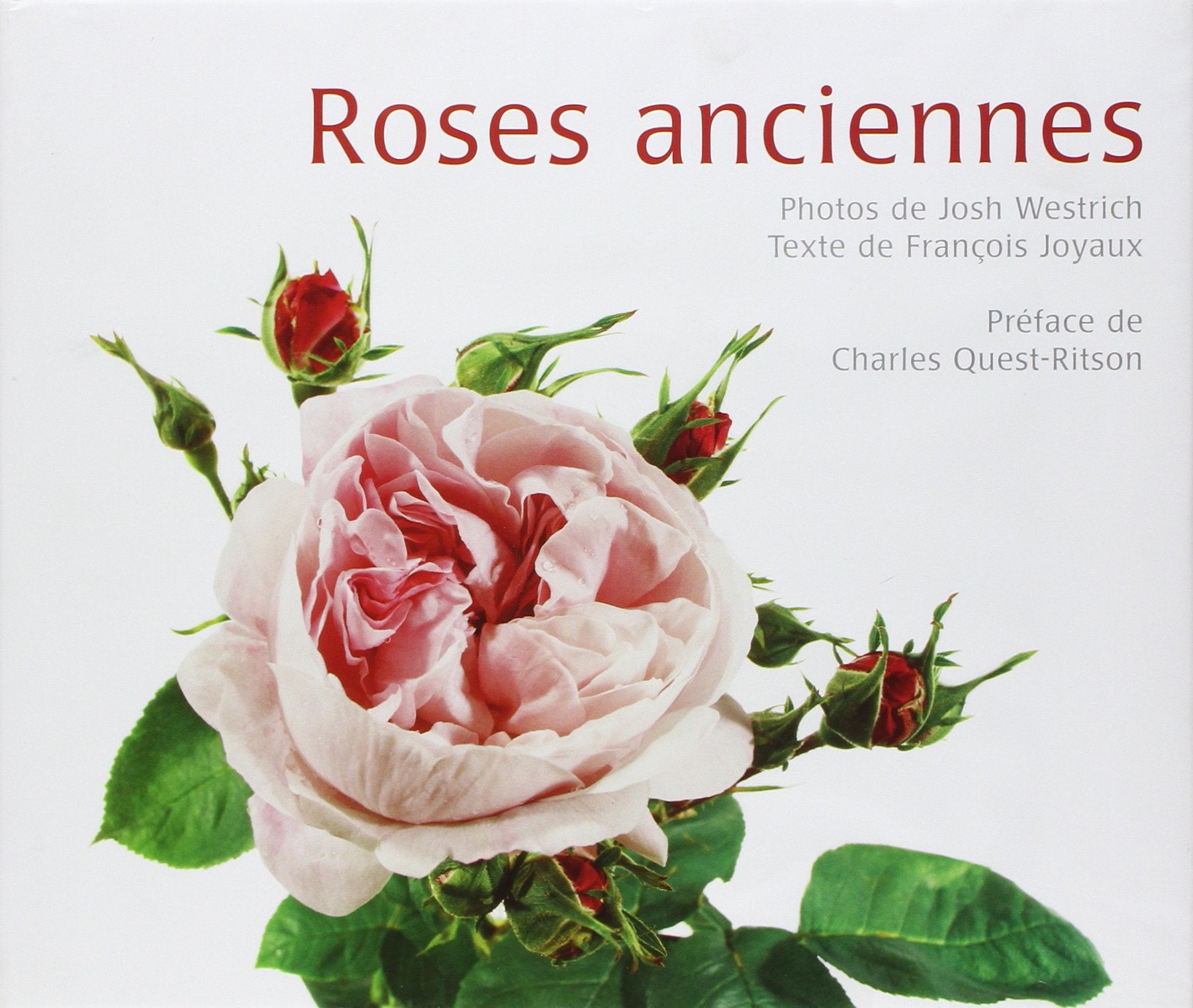 Roses anciennes 9782362610004