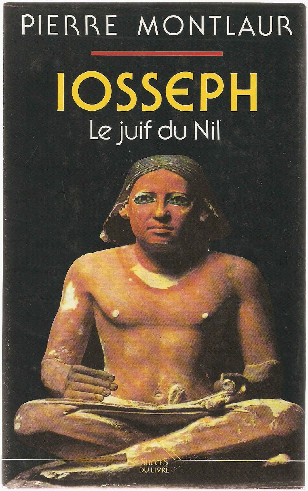Iosseph, le Juif du Nil 9782738204066