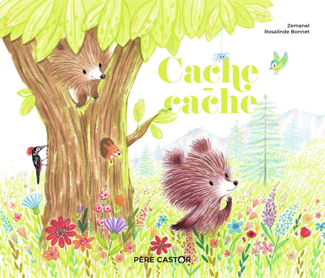 Cache-cache 9782080261564