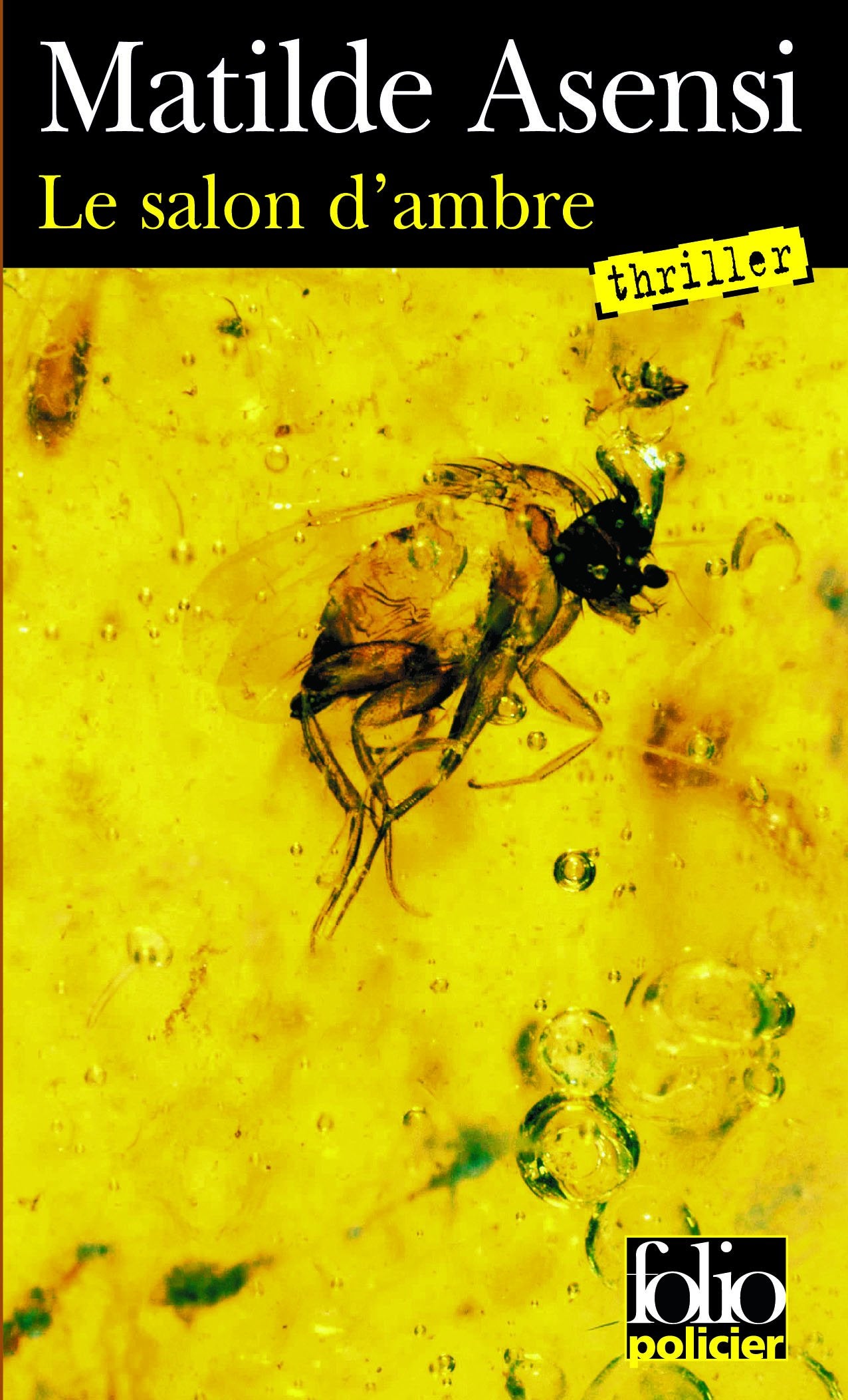 Le salon d'ambre 9782070319312