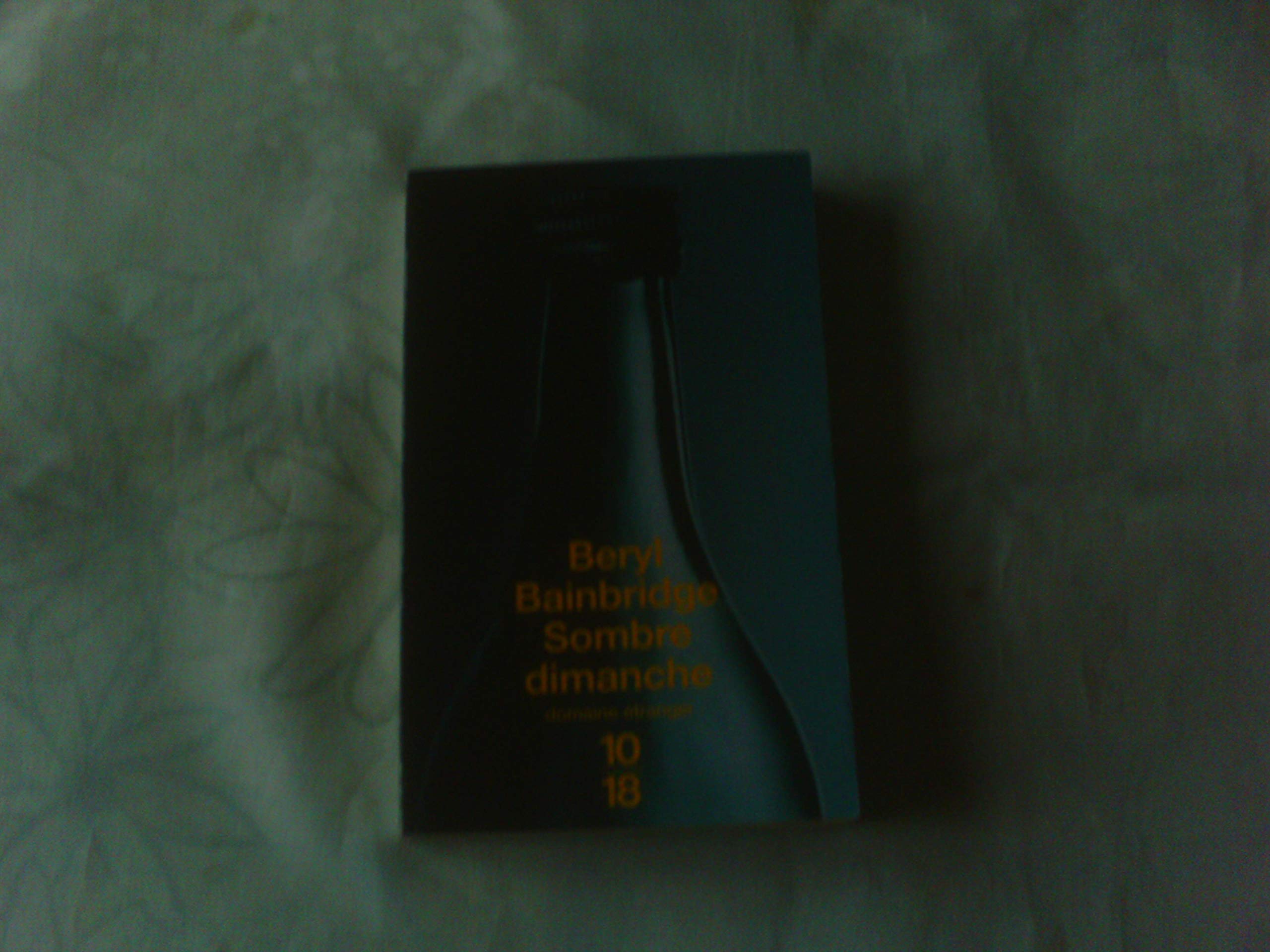 Sombre dimanche 9782264032348