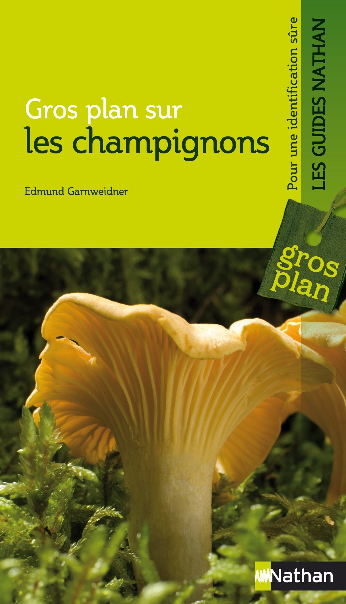 Gros plan sur les champignons 9782092785324