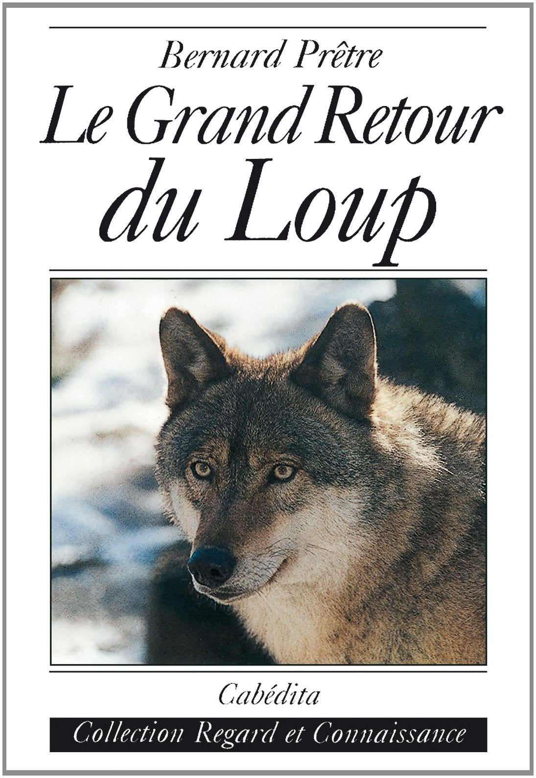 Le grand retour du loup 9782882952486