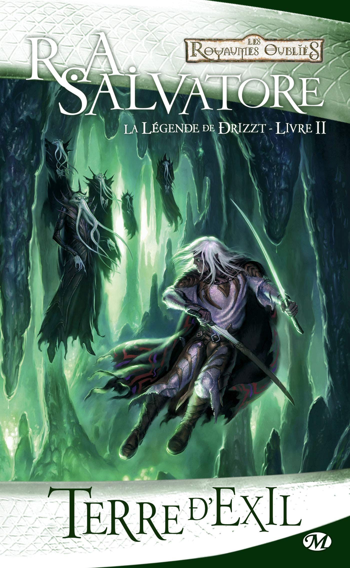 La Légende de Drizzt, Tome 2: Terre d'exil 9782811201630