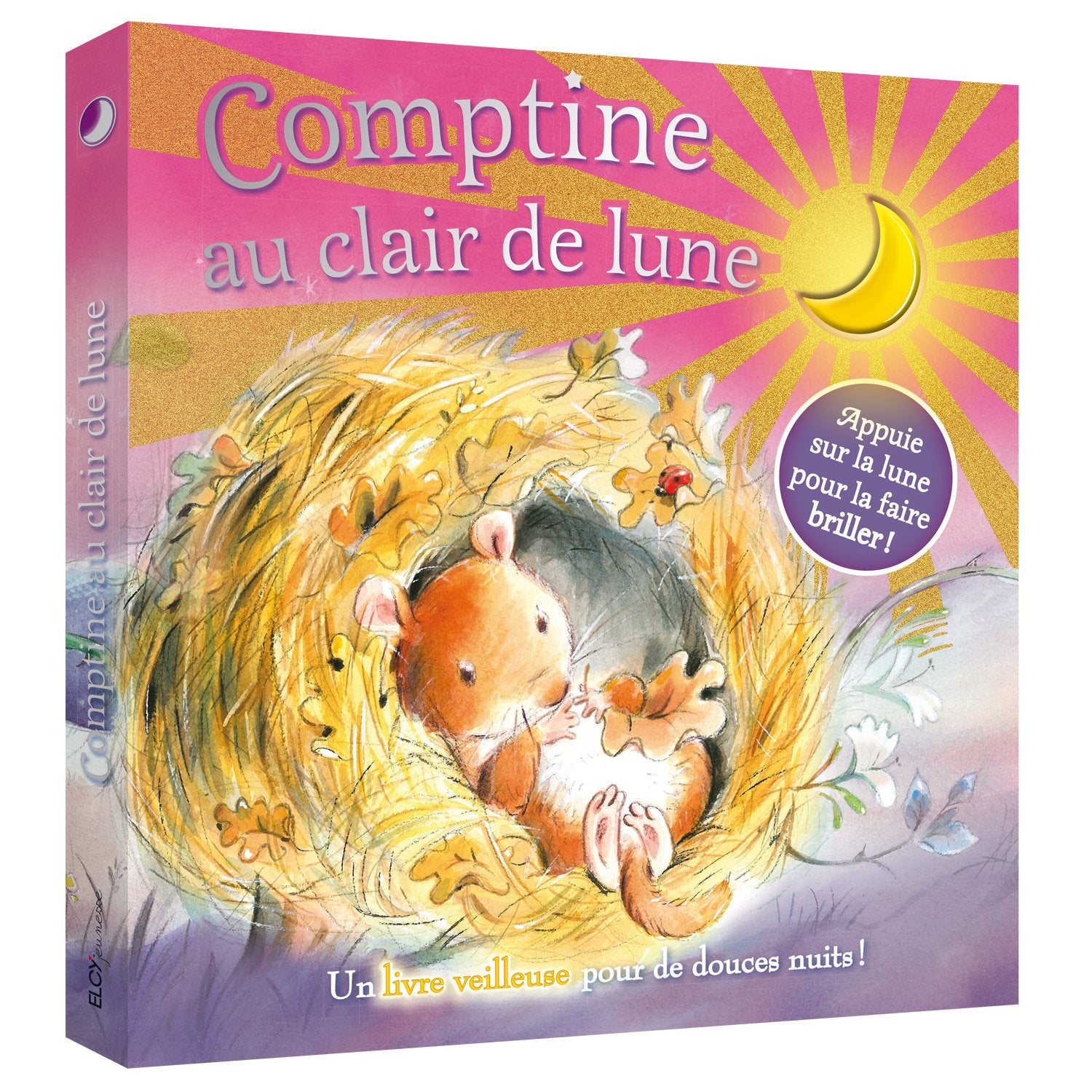 Comptine au clair de lune 9782753207455