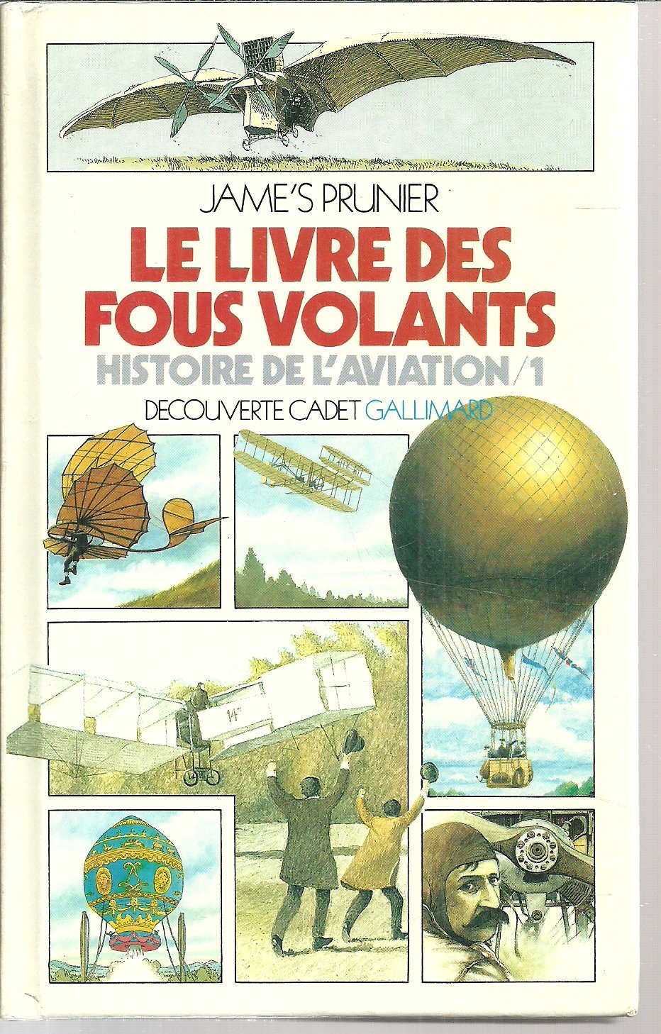 Le livre des fous volants 9782070395385