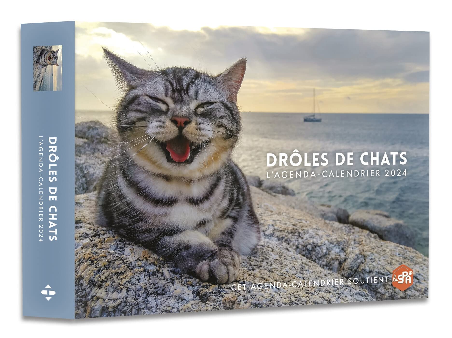 Agenda - Calendrier Drôles de chats 2024 9782755667899