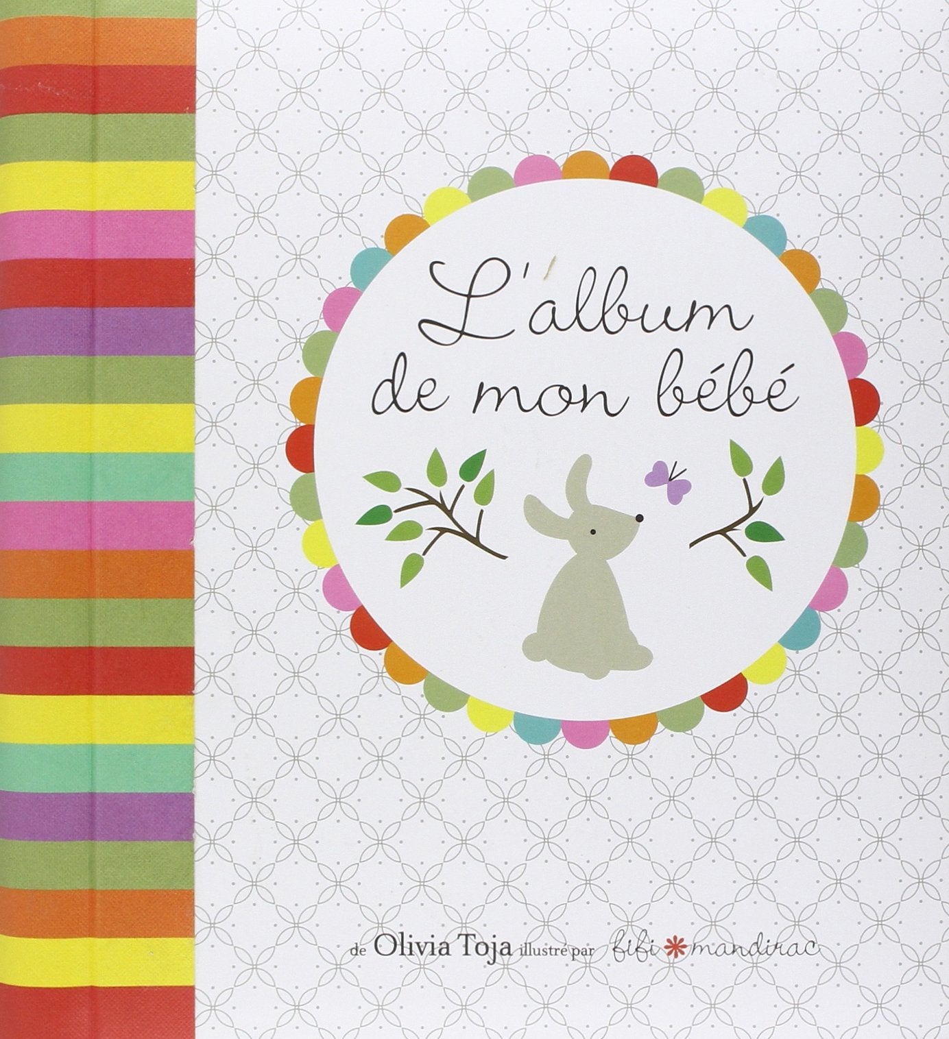 L'album de mon bébé 9782754053792