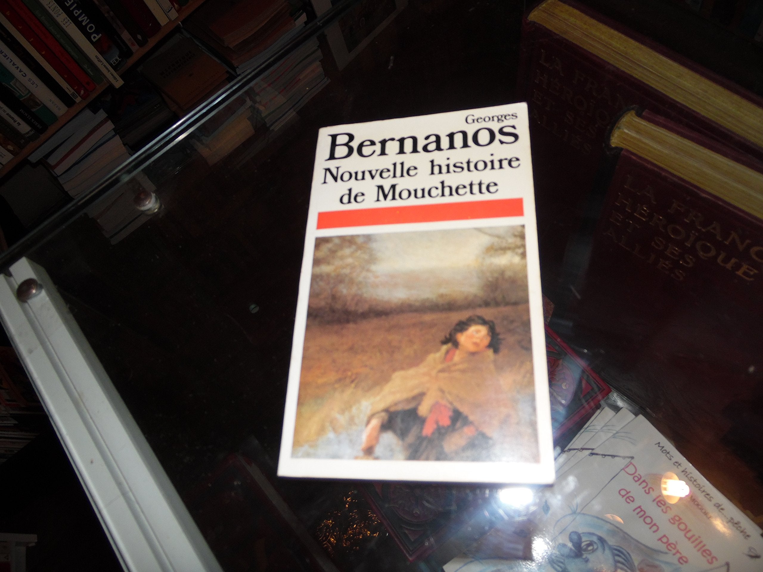 Nouvelle histoire de mouchette 9782266016087