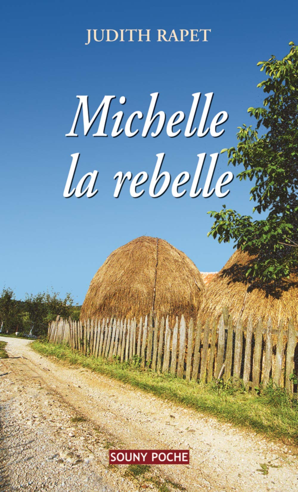 Michelle la rebelle 9782848863665