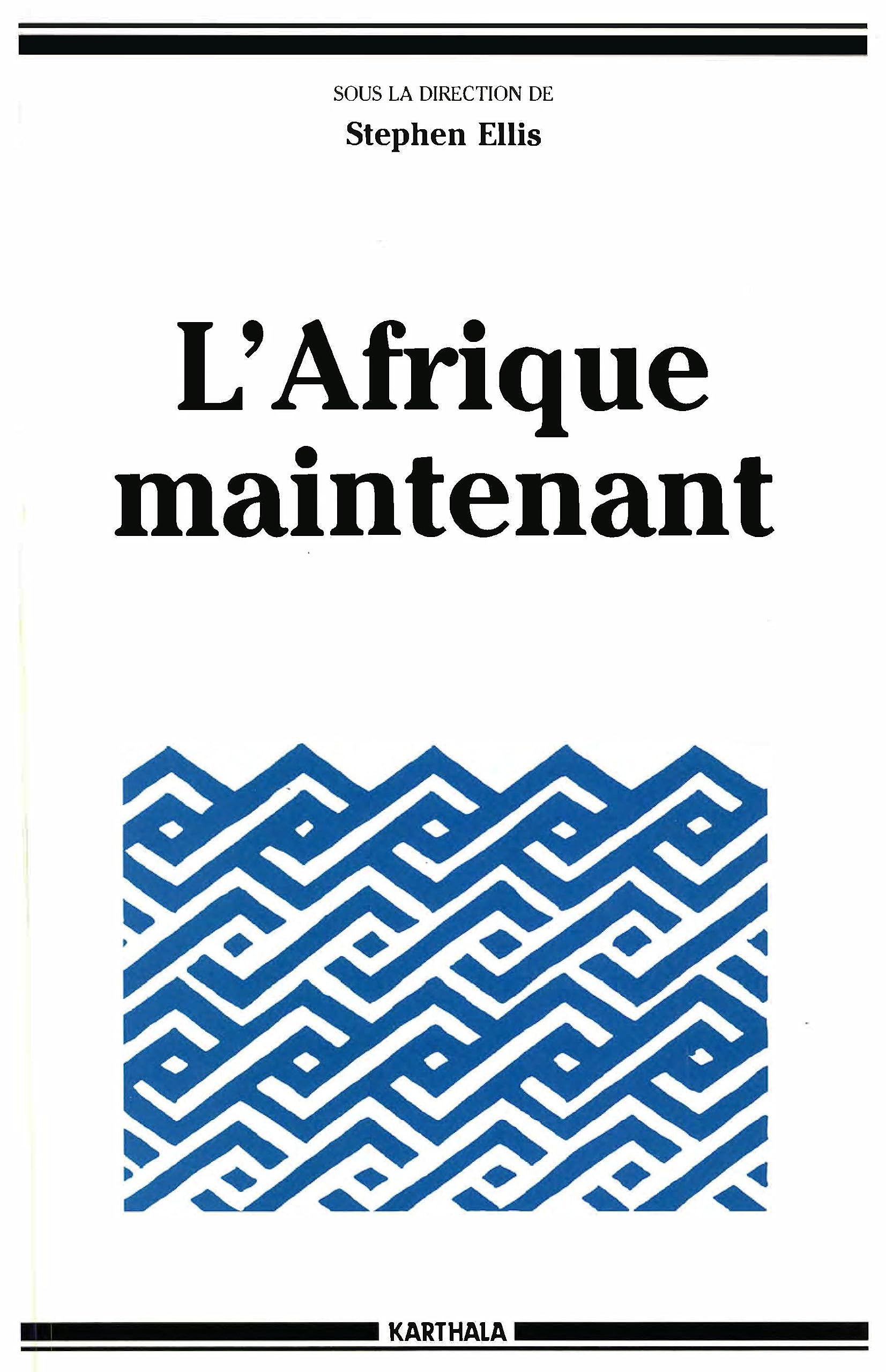 L'Afrique maintenant 9782865376025