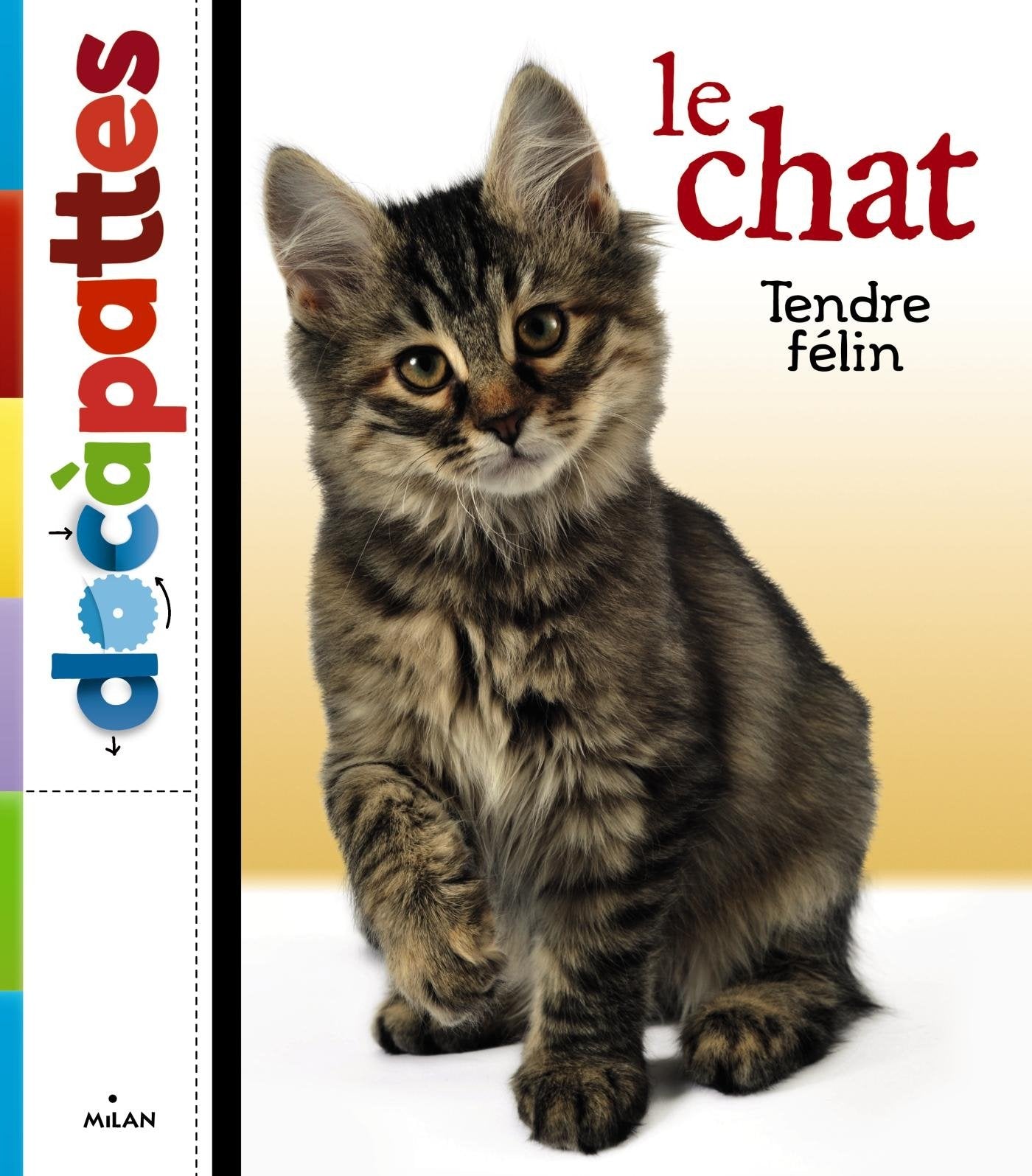 Le chat 9782745962904