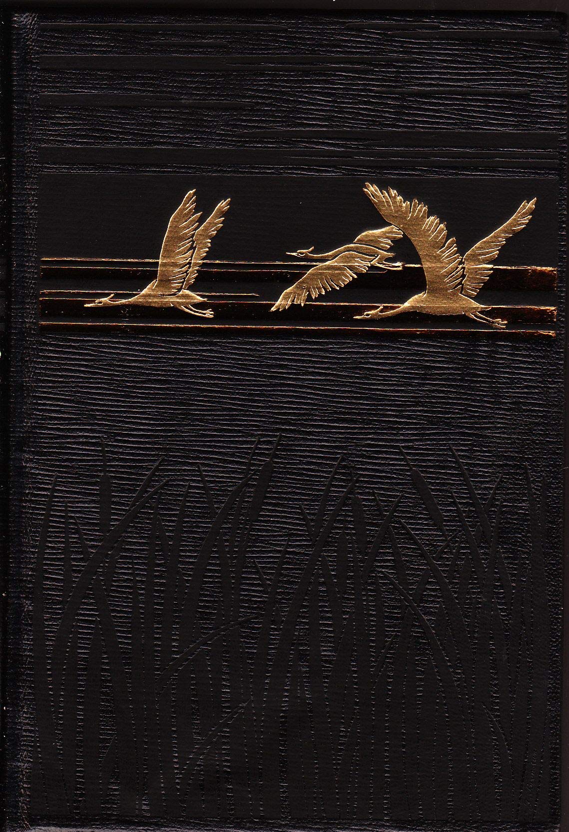 Les villes mortes du Golfe de Lyon (illiberris - Ruscino - Narbon - Adge - Maguelone - Aiguesmortes - Arles - Les Saintes-Maries)