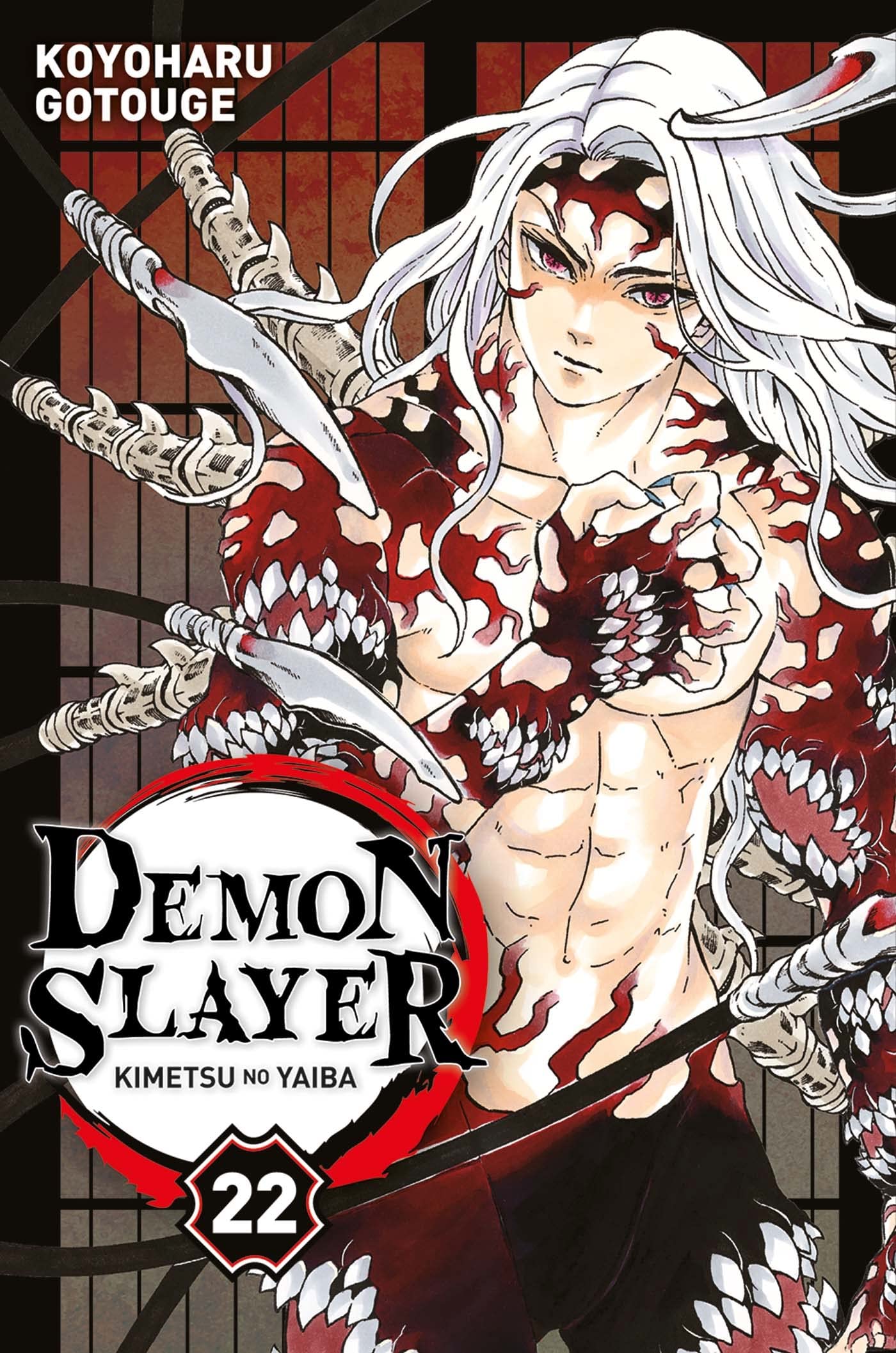 Demon Slayer T22 9791039106863
