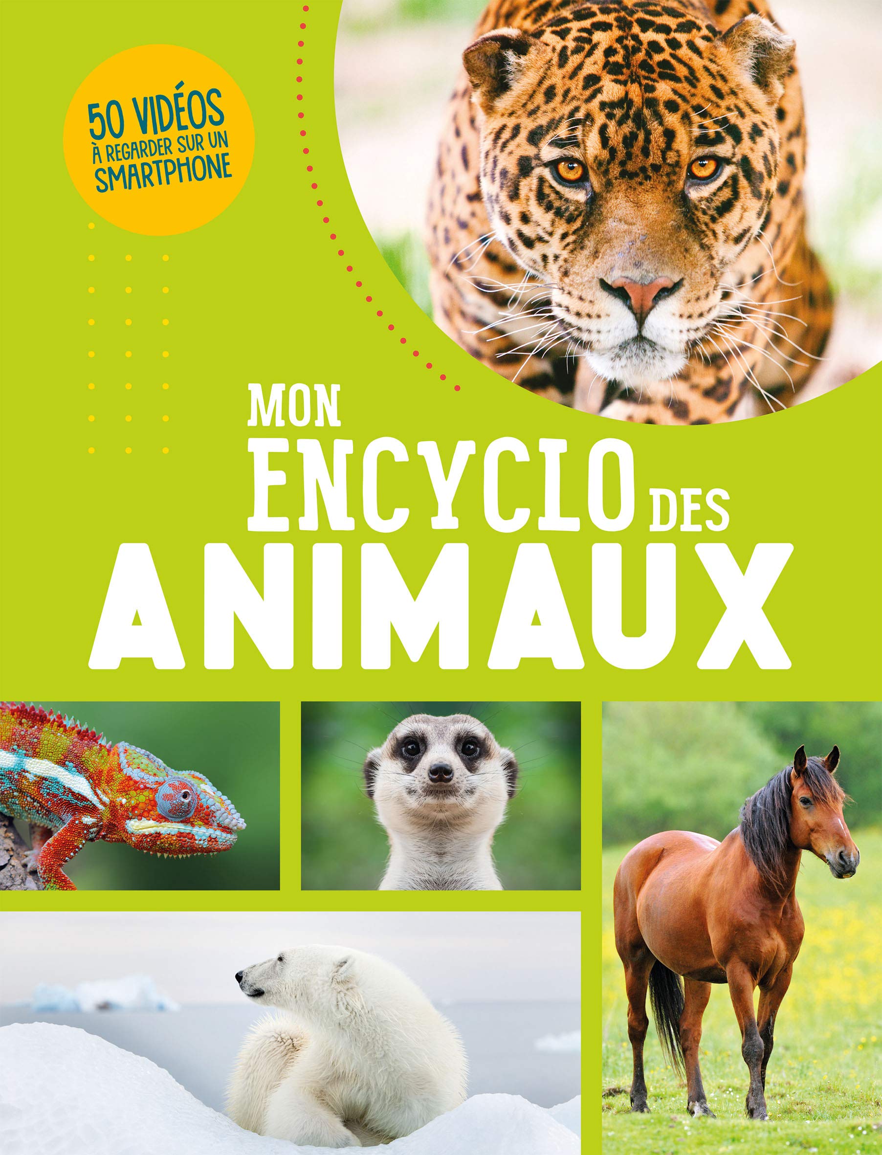 Mon encyclo des animaux 9782359905120