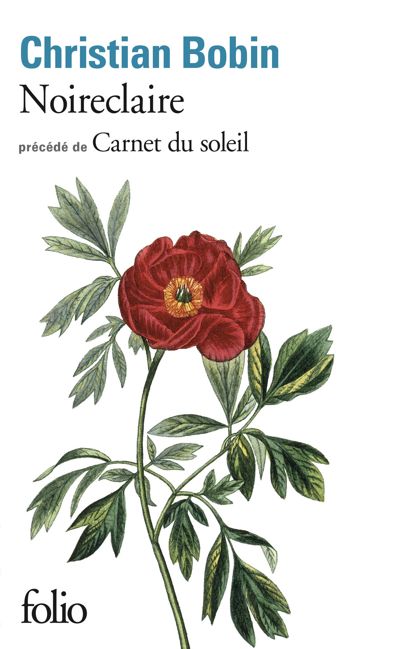 Noireclaire/Carnet du soleil 9782072764974