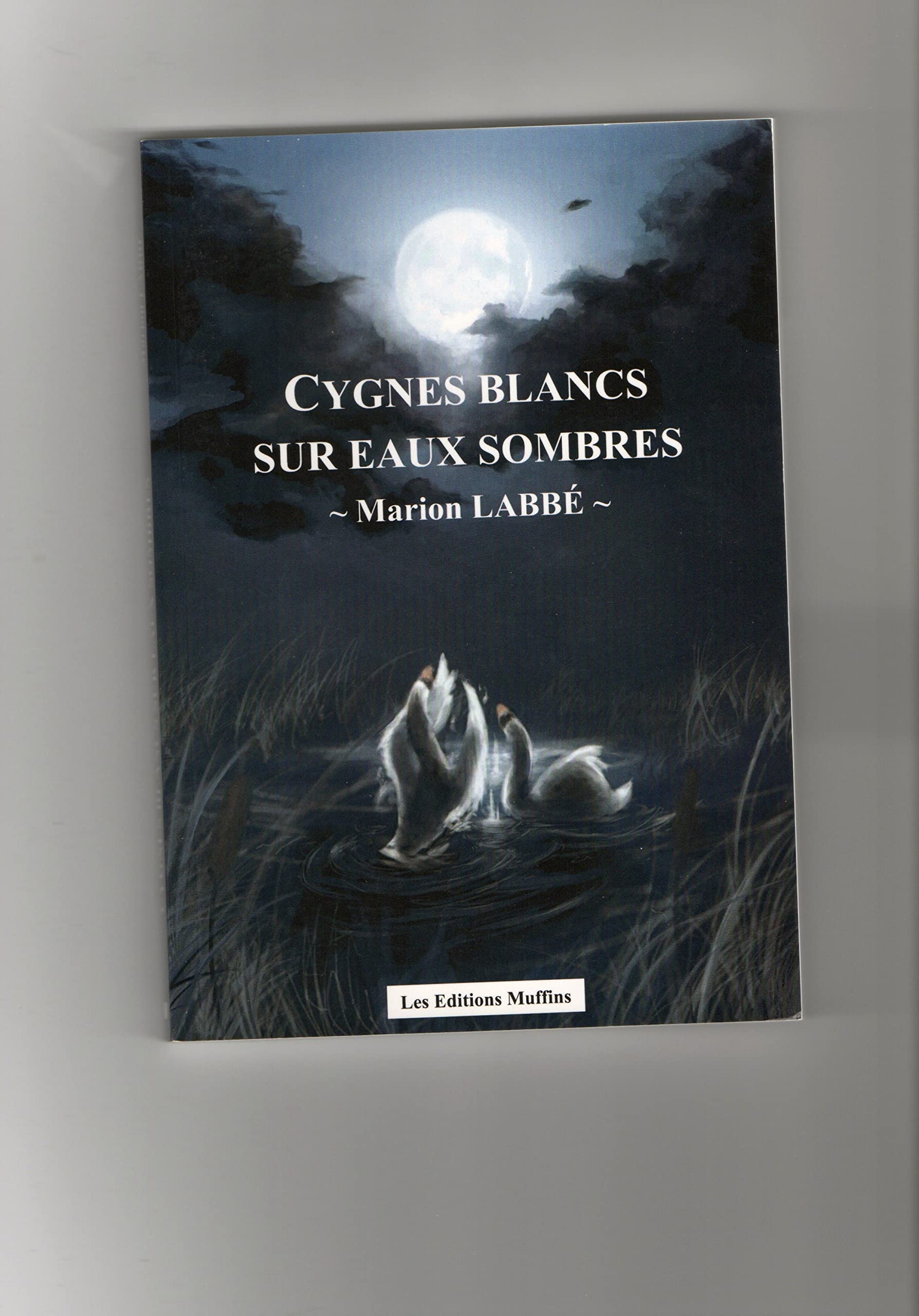 titre666 9782917357019