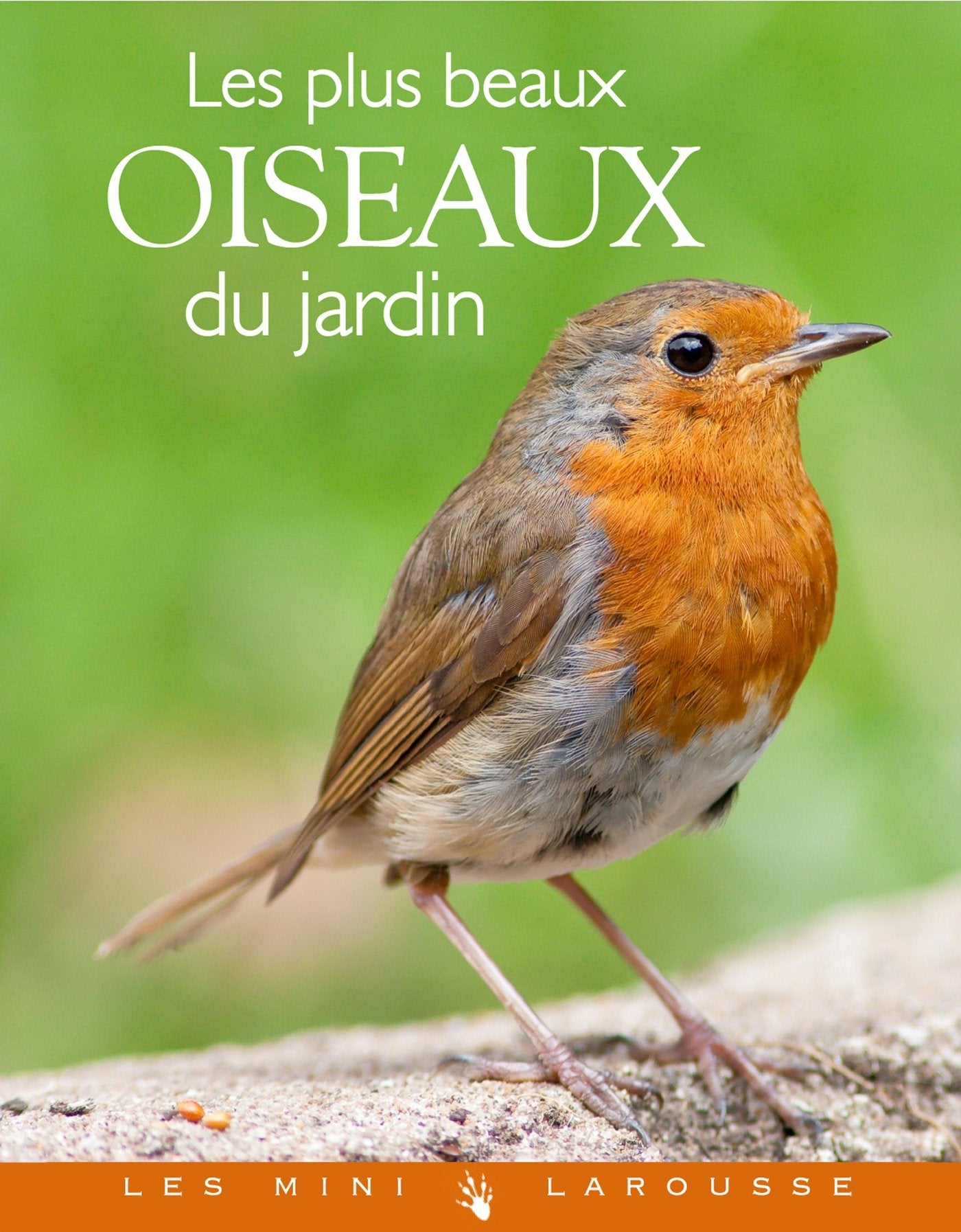 Les plus beaux oiseaux du jardin 9782035878847