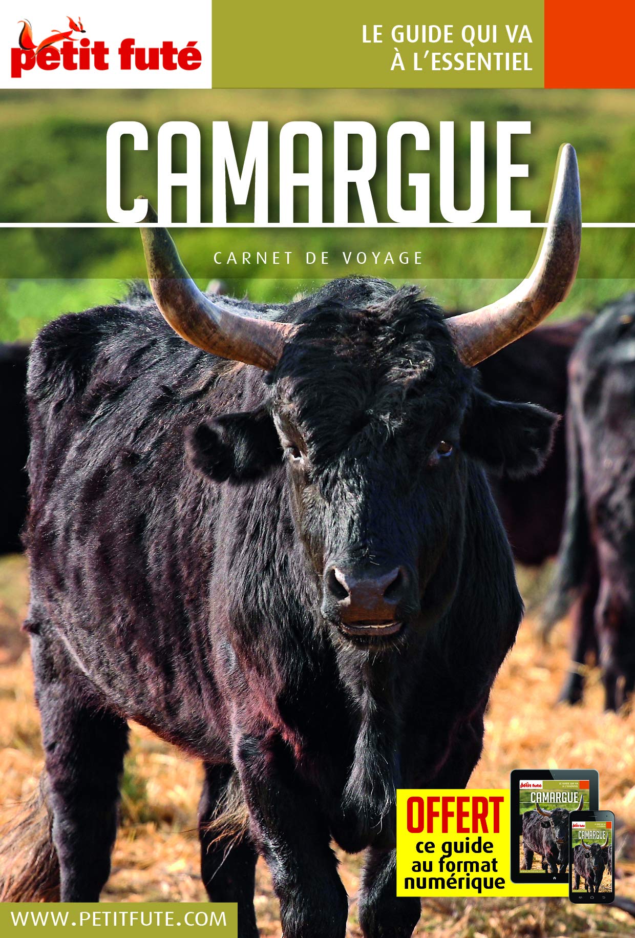 Guide Camargue 2020 Carnet Petit Futé 9782305031019