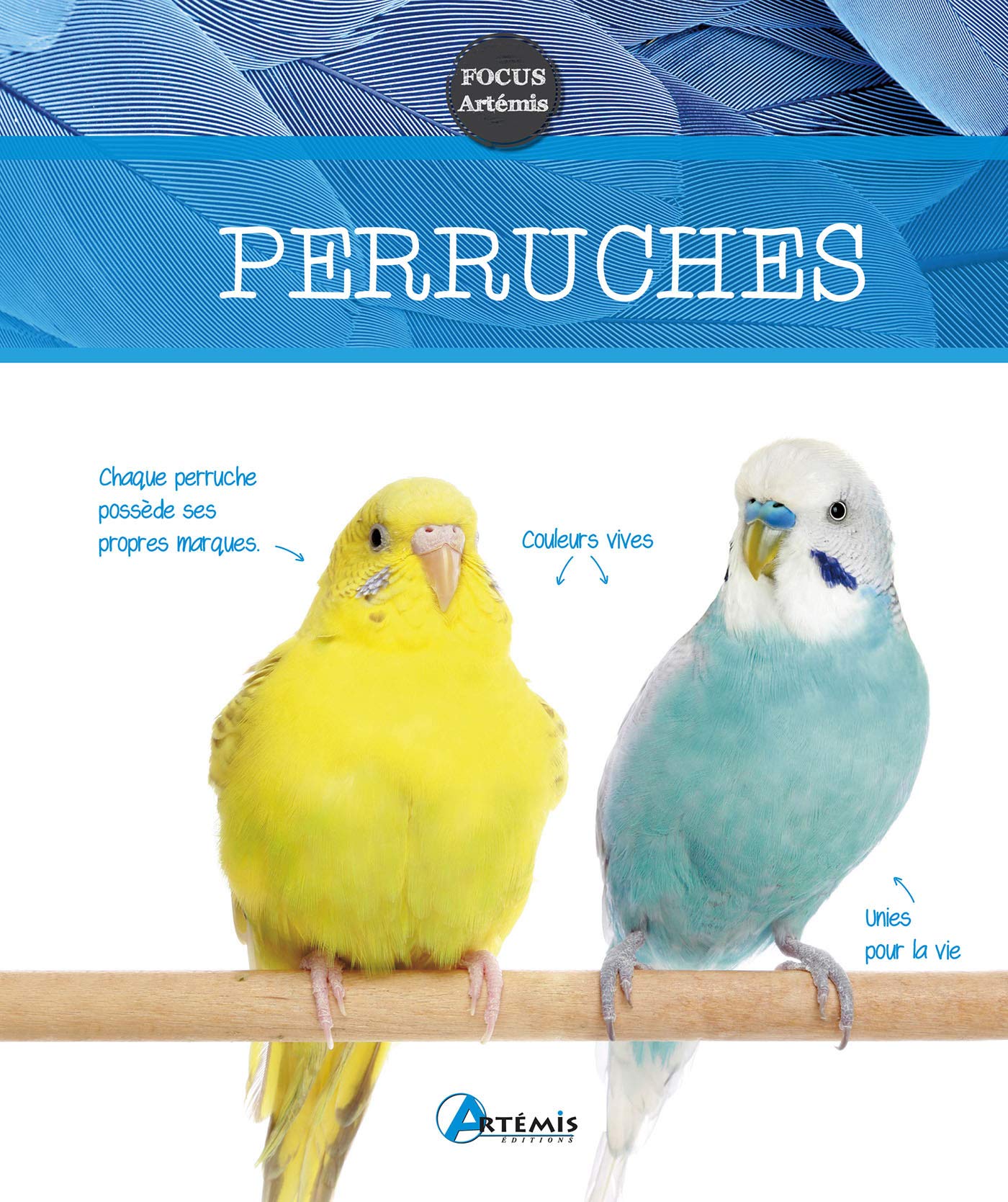 Perruches 9782816009347
