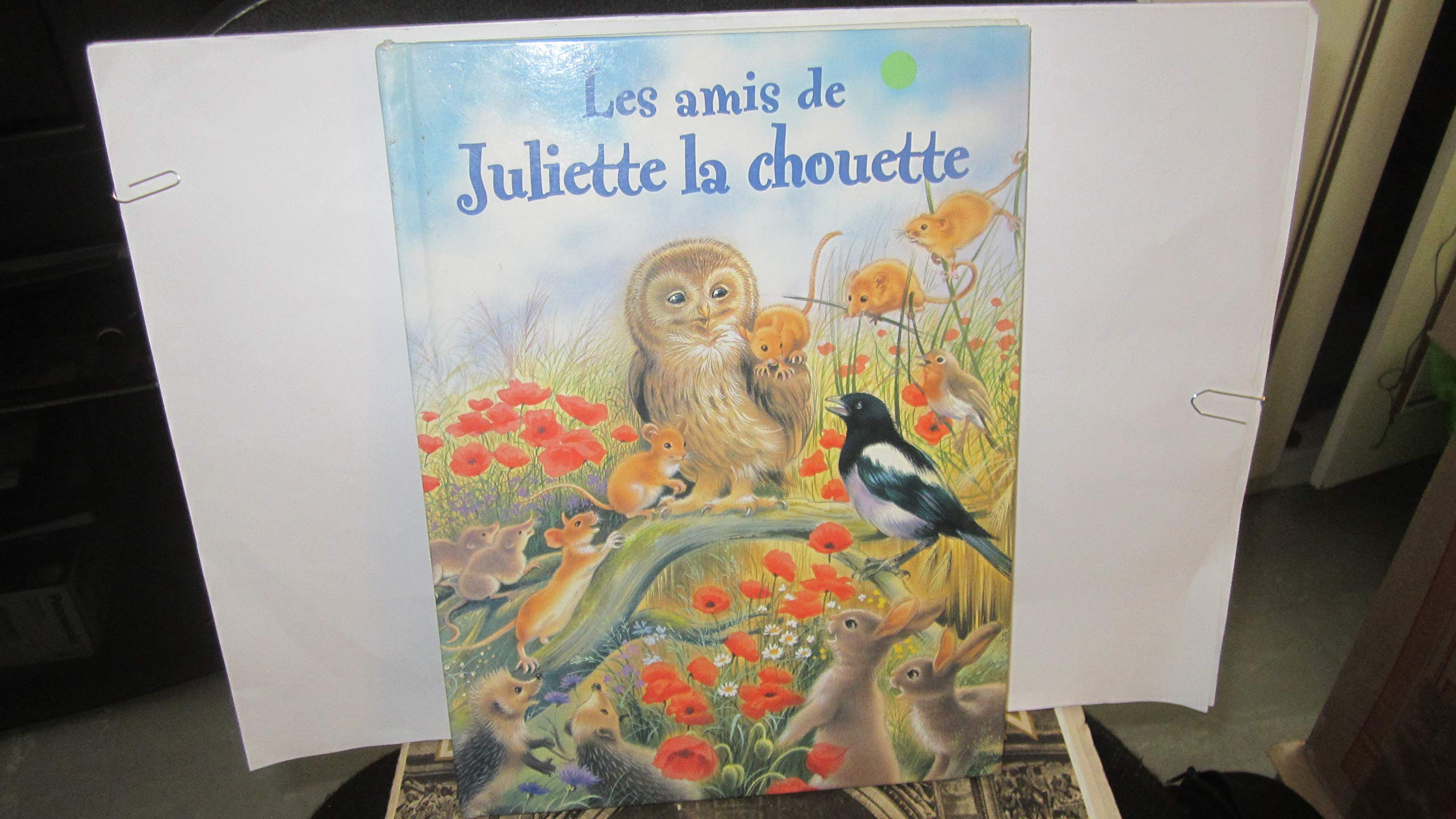 Les Amis de Juliette la chouette 9782800674940