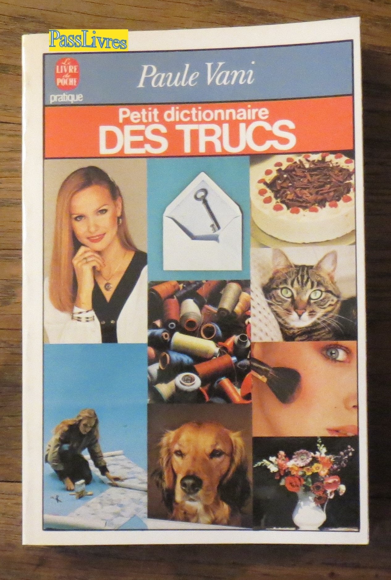PETIT DICTIONNAIRE DES TRUCS 9782253031482