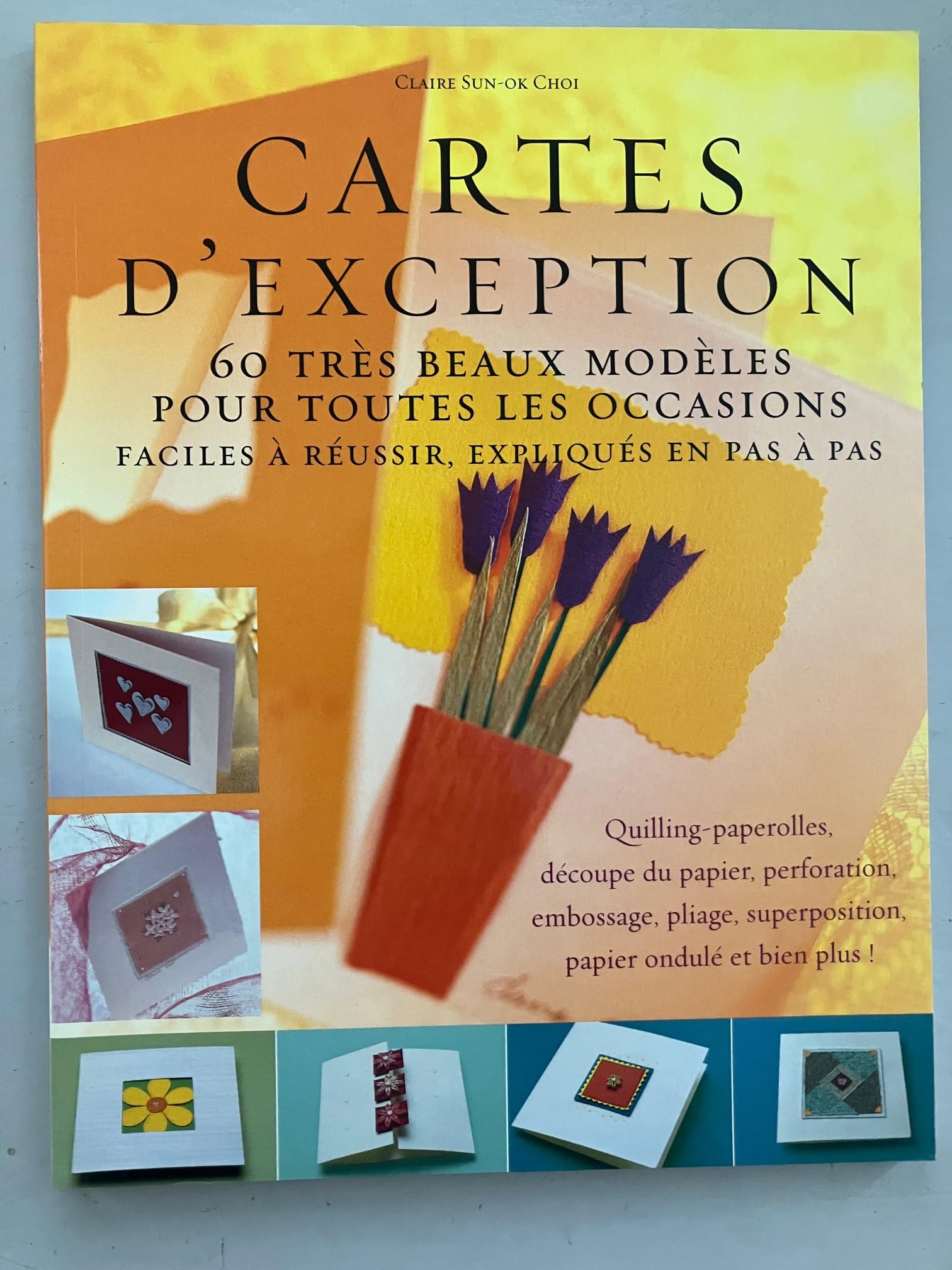 Cartes d'exception 9782844392848