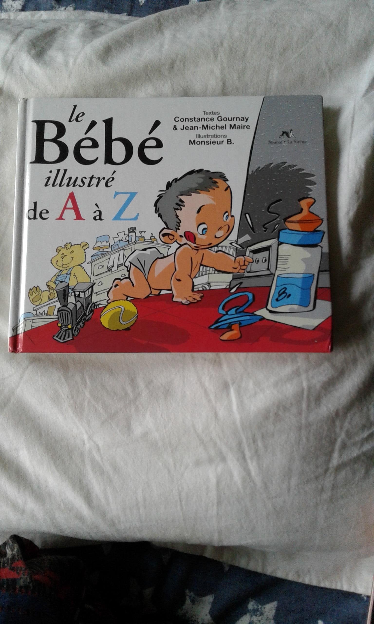 Le Bebe Illustre De A A Z 9782884613507