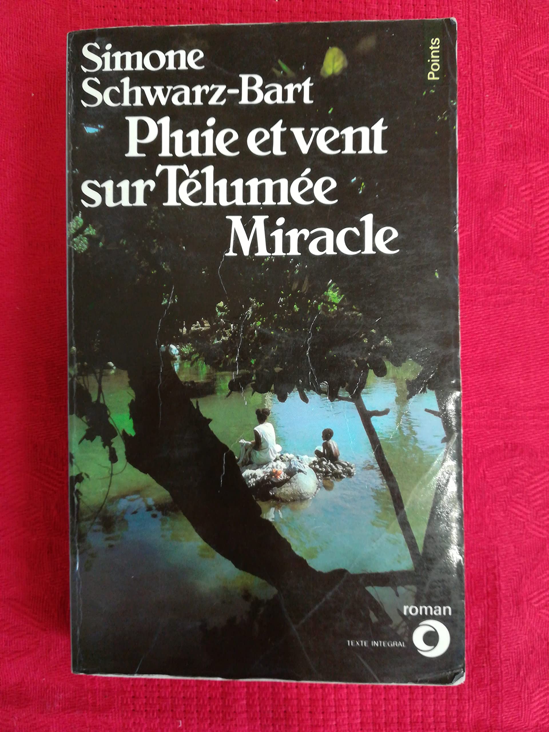 Pluie et vent sur Télumée Miracle 9782020055475