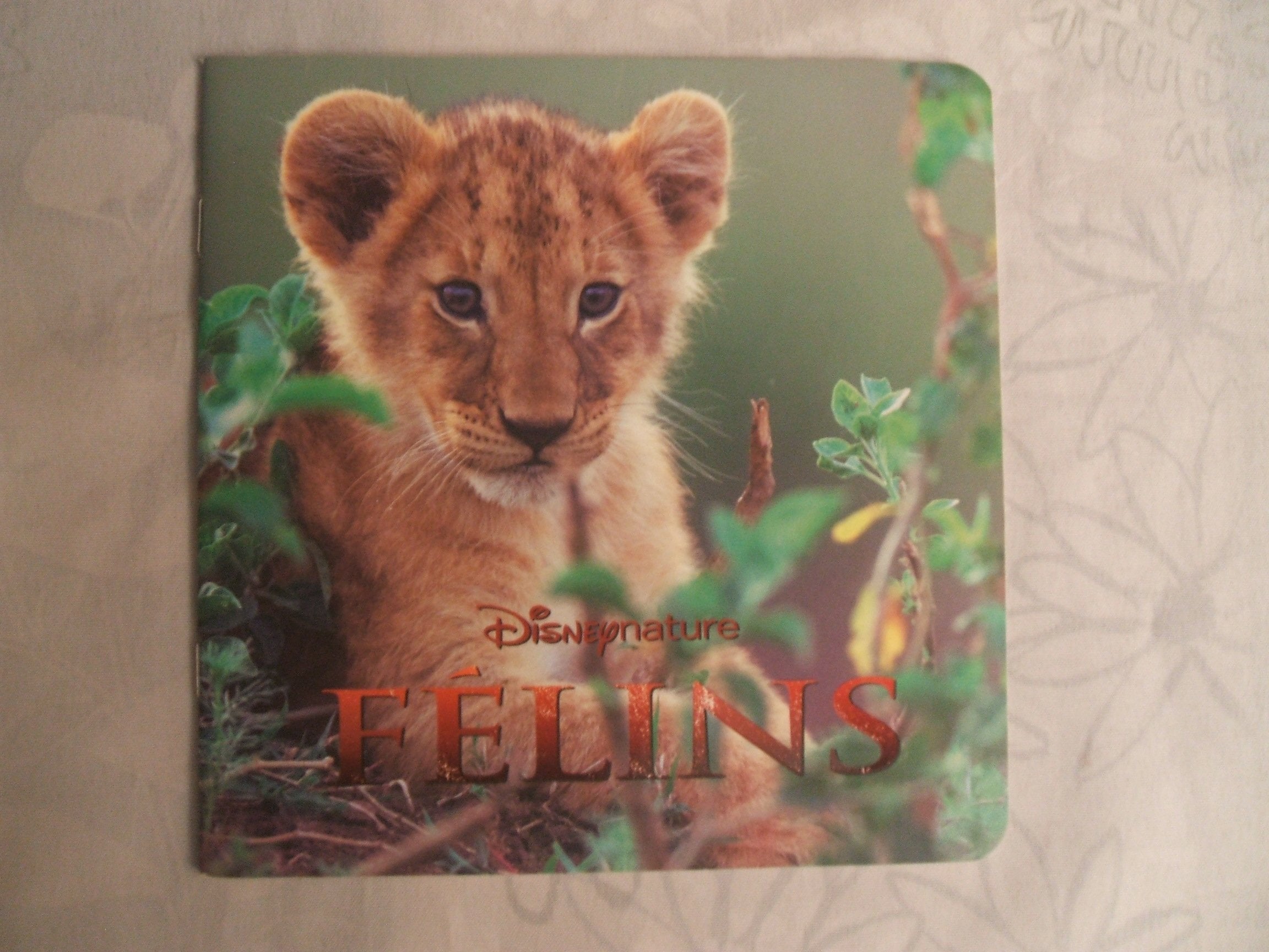Félins 9782014639957