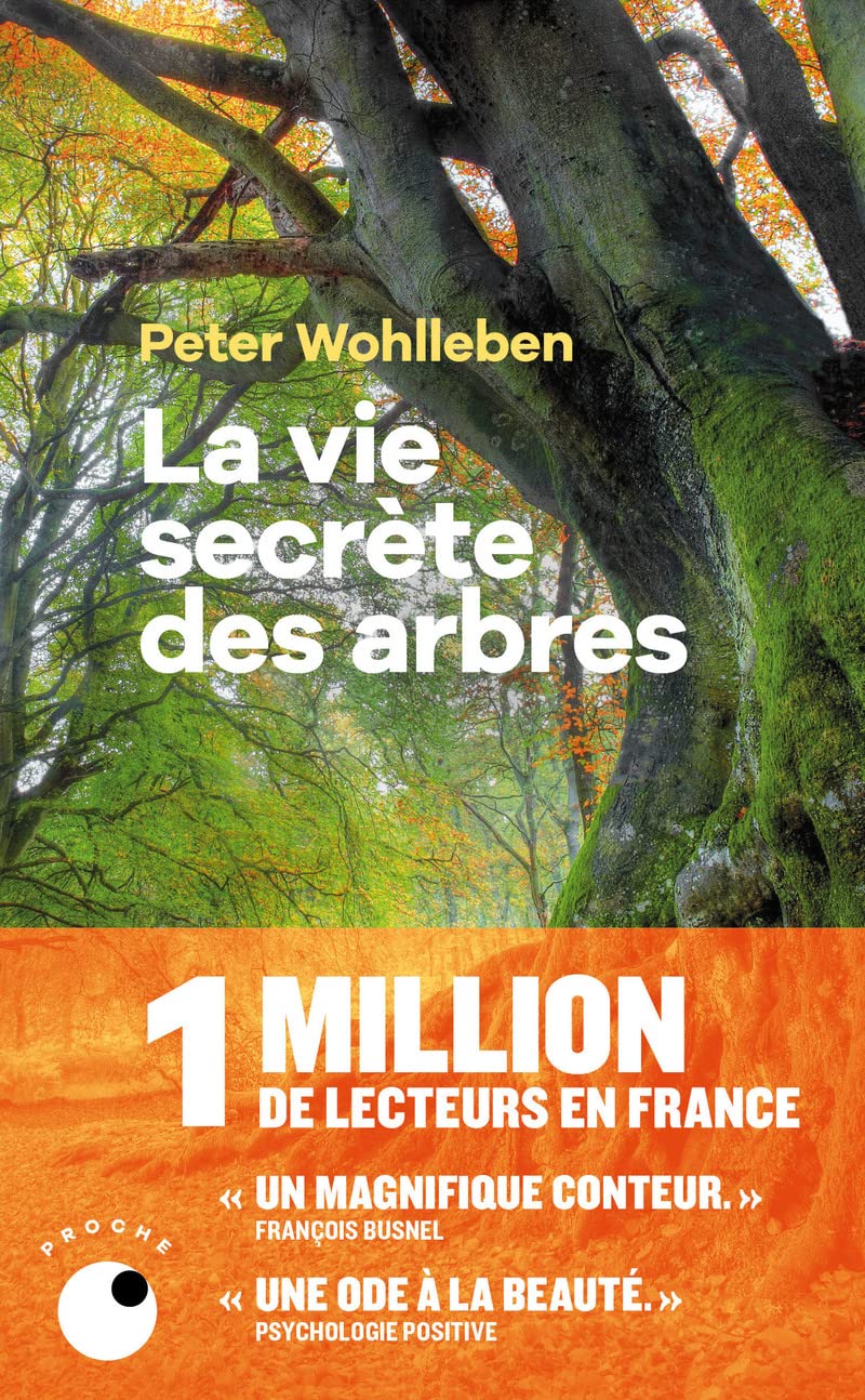 La Vie secrète des arbres 9782493909299