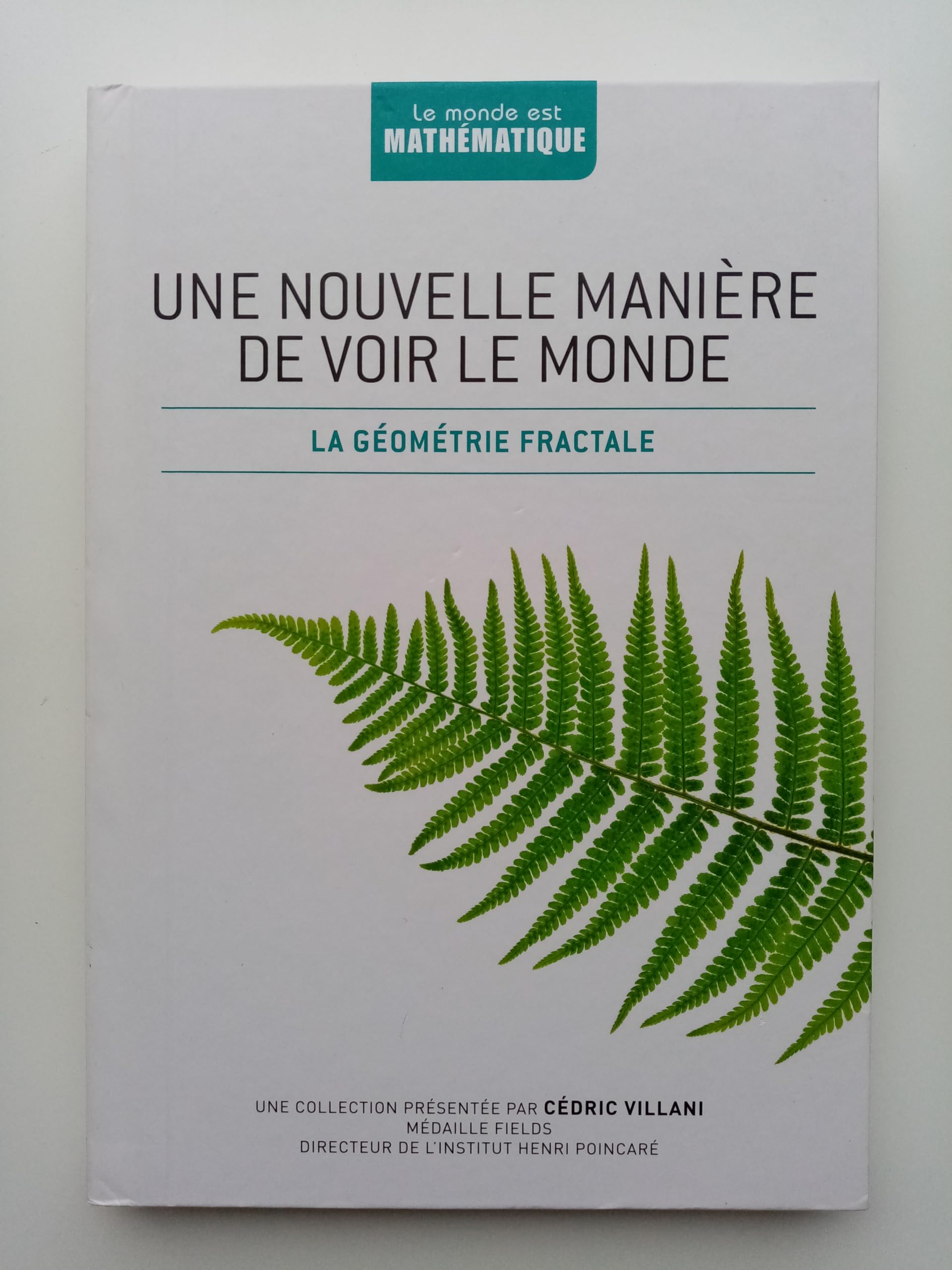 Une nouvelle manière de voir le monde: La géométrie fractale 9782823701074